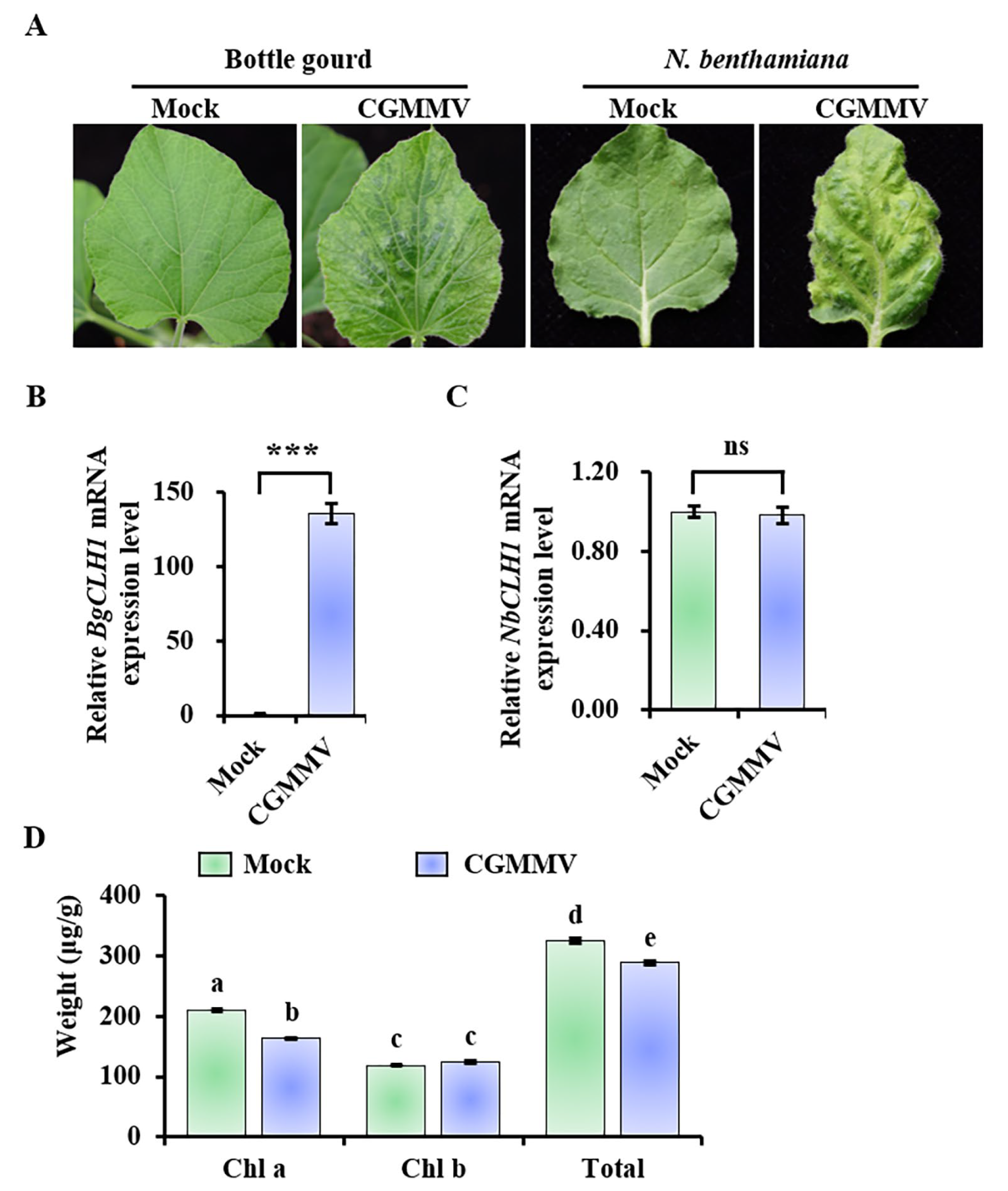 Plants 14 03086 g001 Plants 14 03086 g001