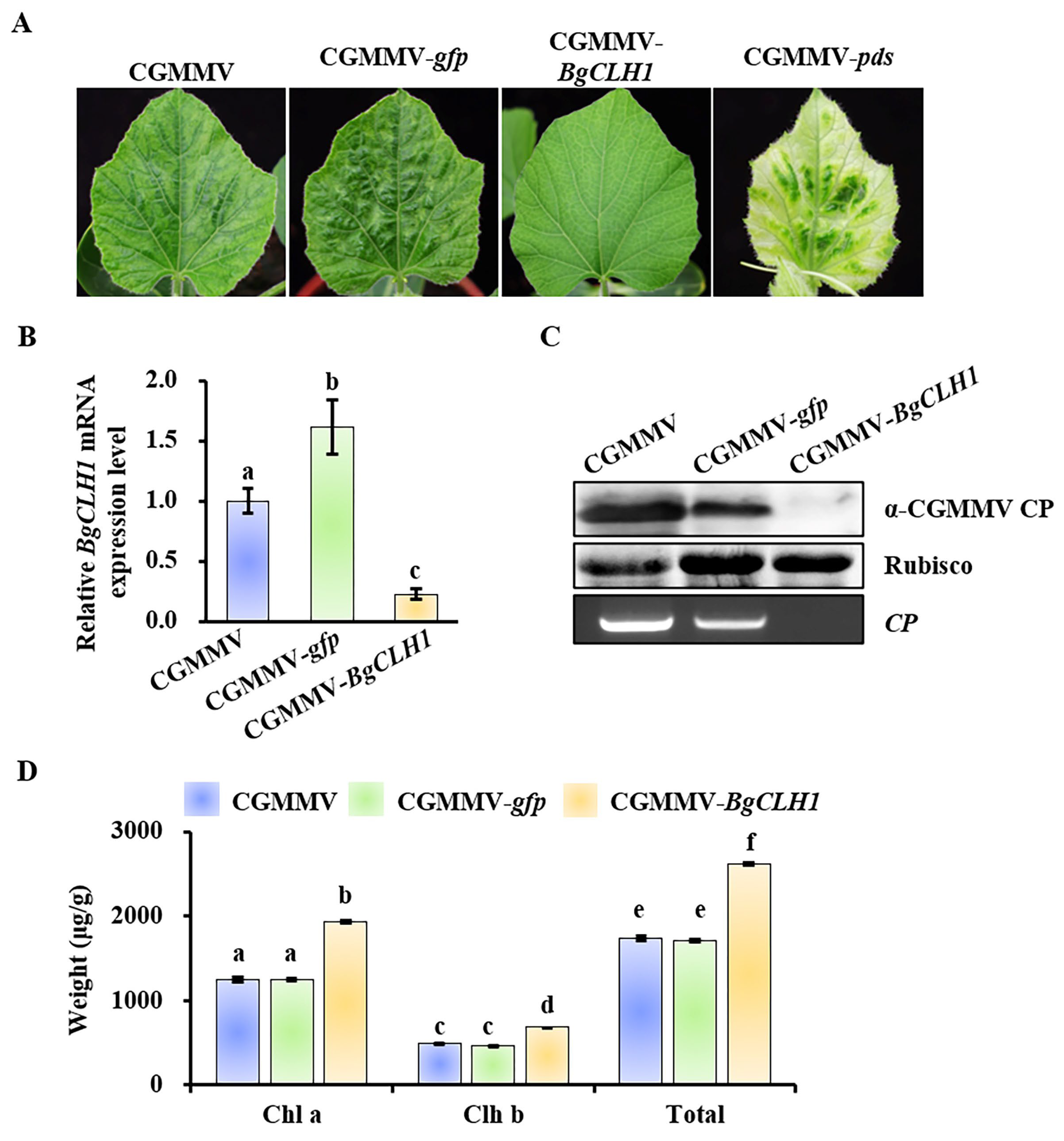 Plants 14 03086 g004 Plants 14 03086 g004