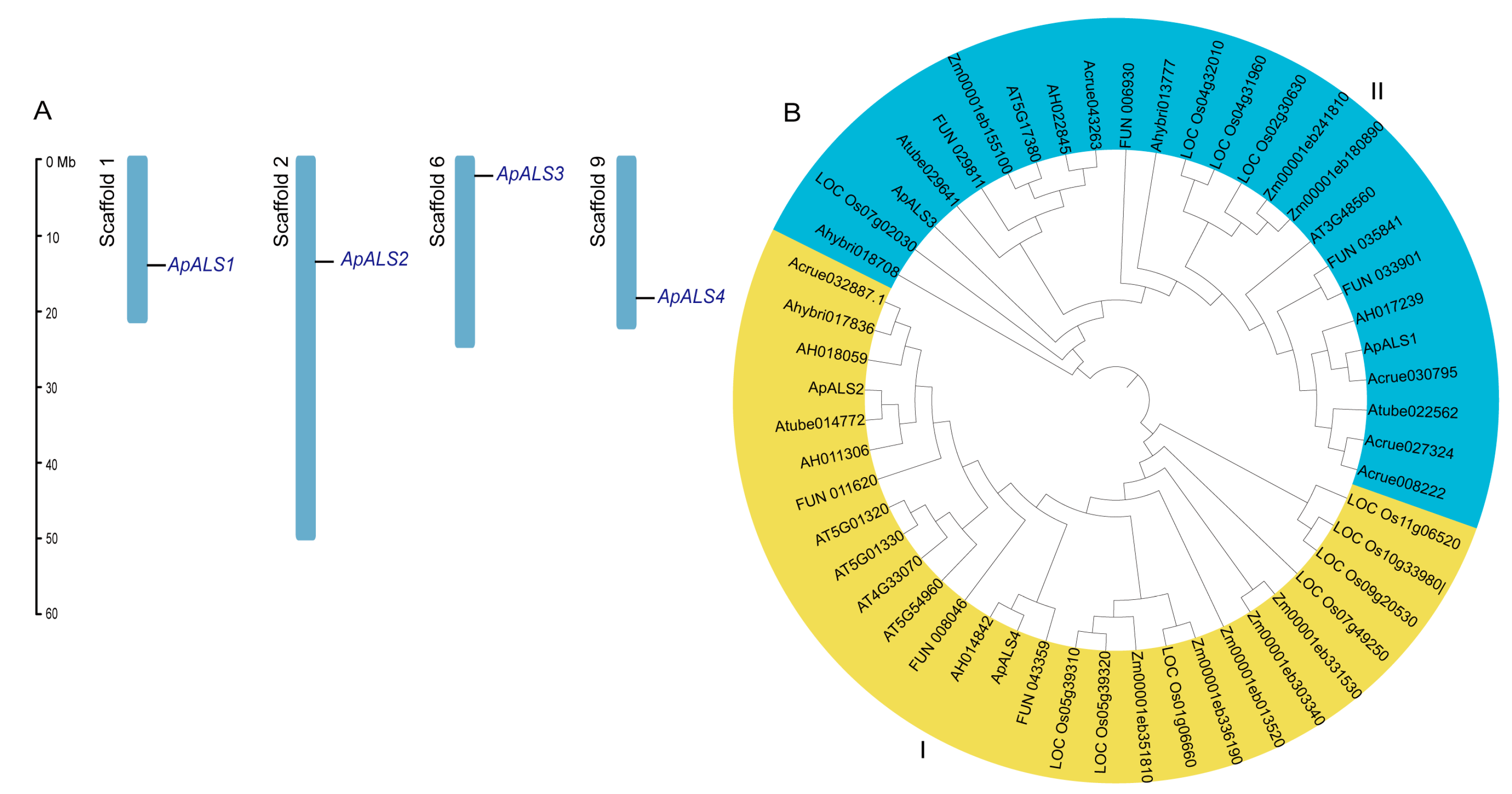 Plants 14 03088 g001