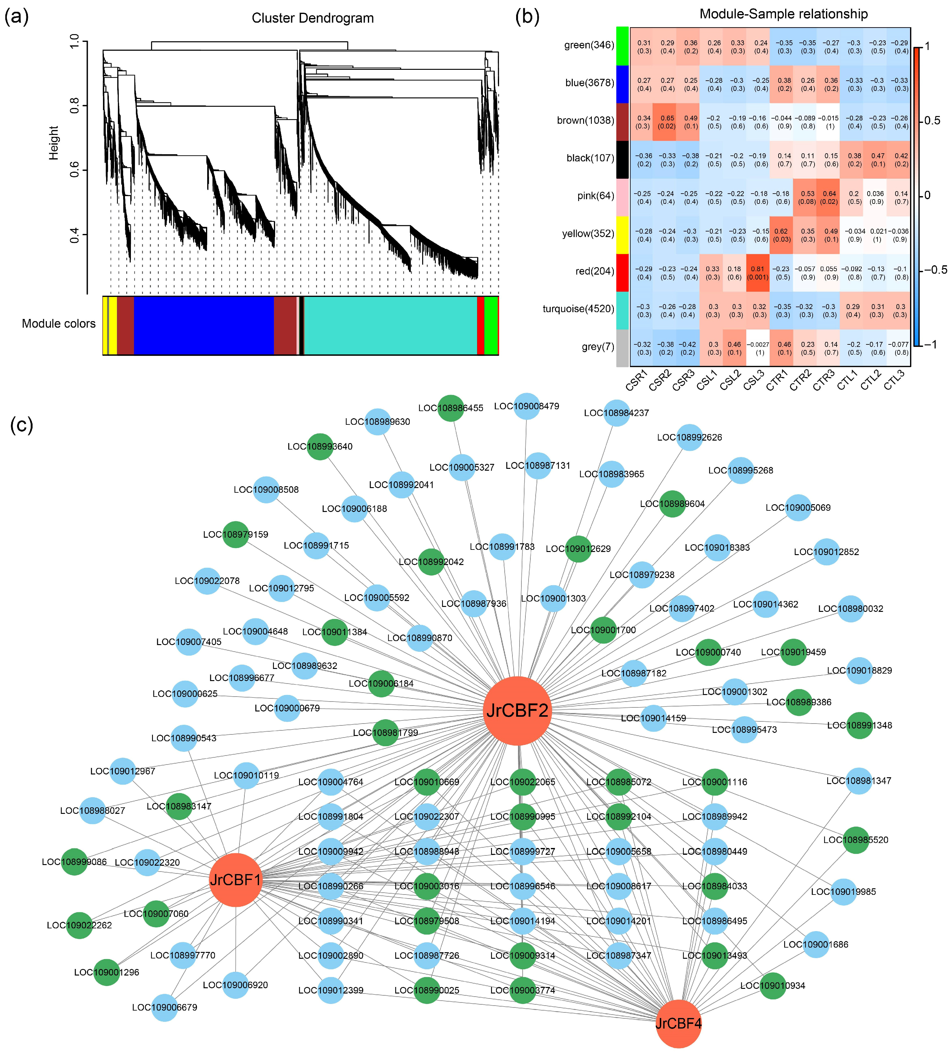 Plants 14 03089 g005 Plants 14 03089 g005