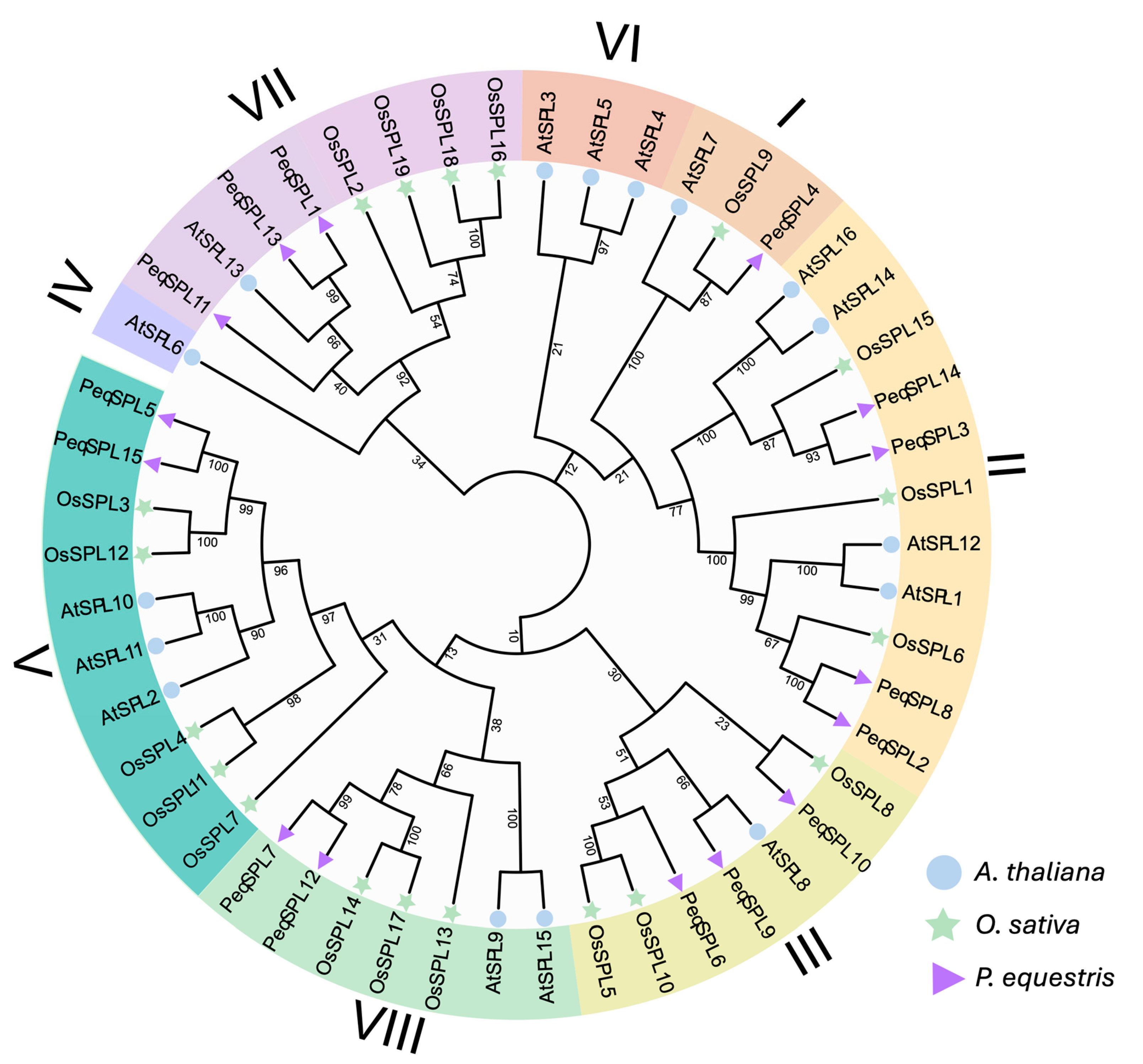 Plants 14 03090 g001 Plants 14 03090 g001
