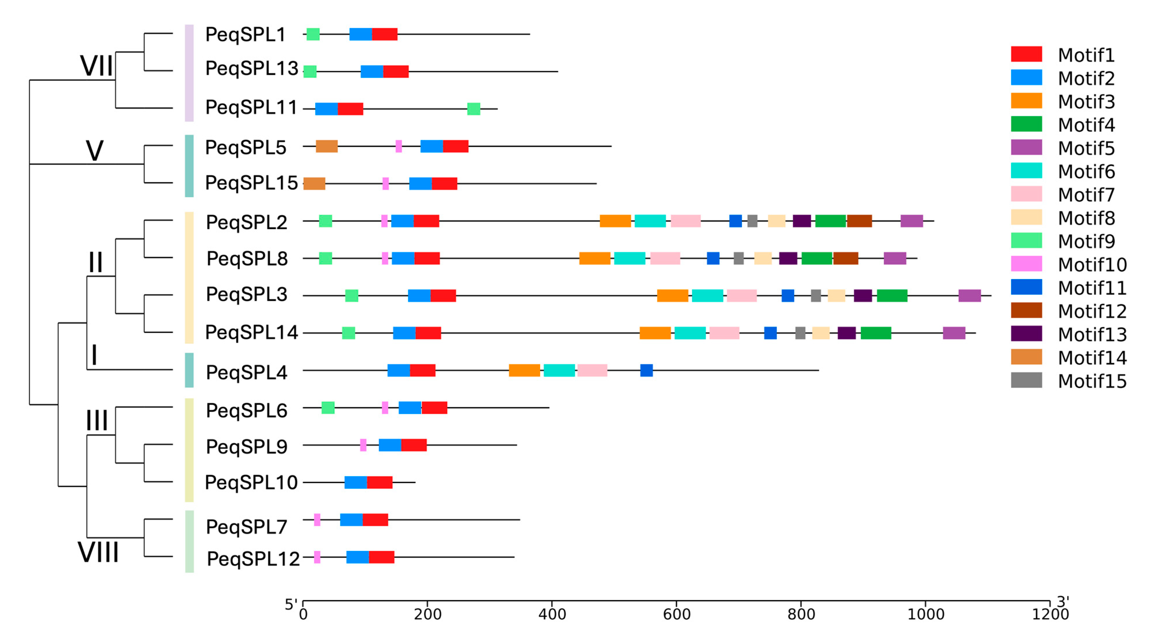 Plants 14 03090 g002 Plants 14 03090 g002