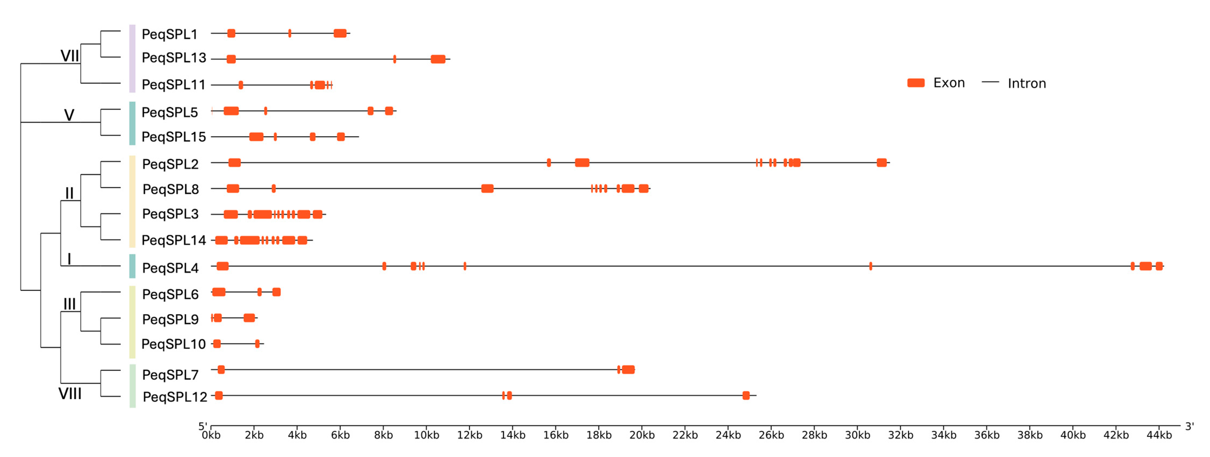 Plants 14 03090 g004 Plants 14 03090 g004