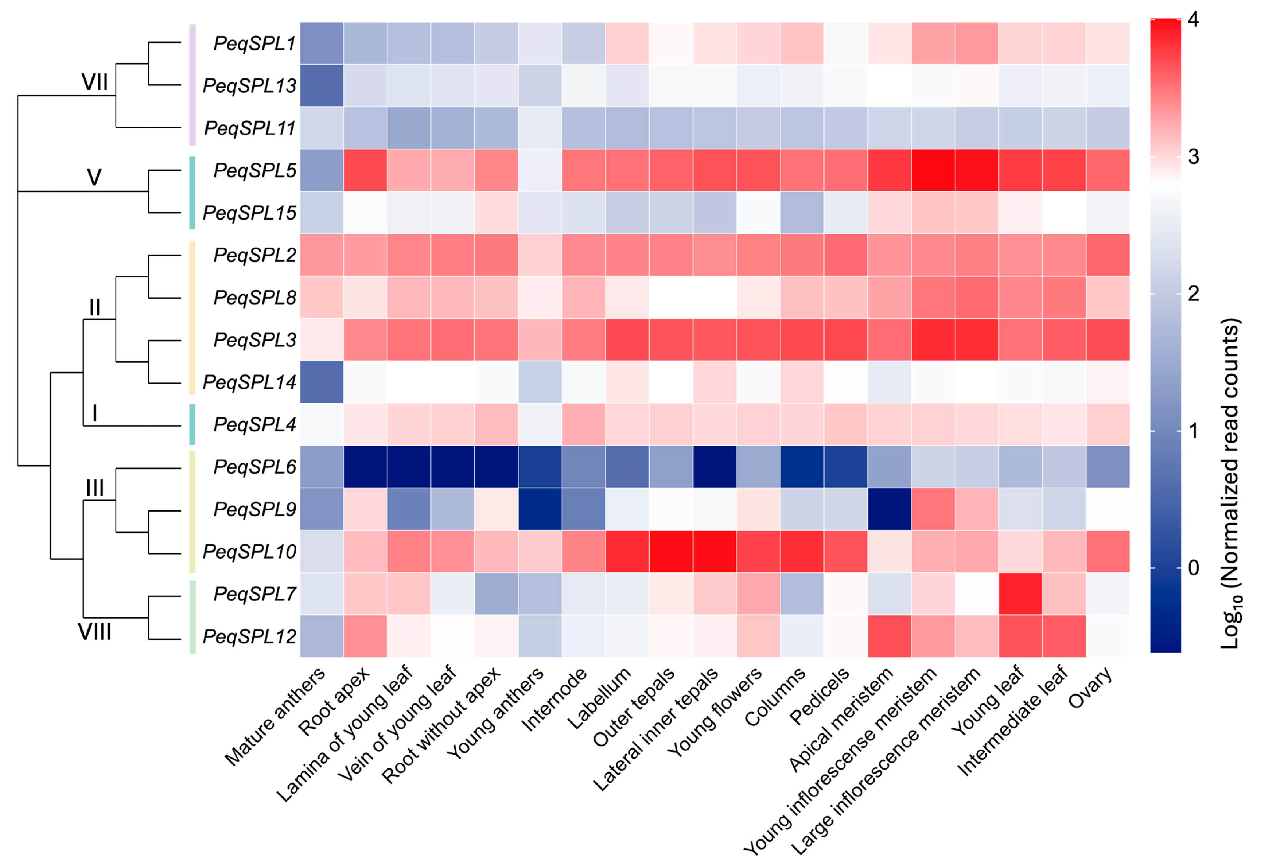 Plants 14 03090 g007 Plants 14 03090 g007