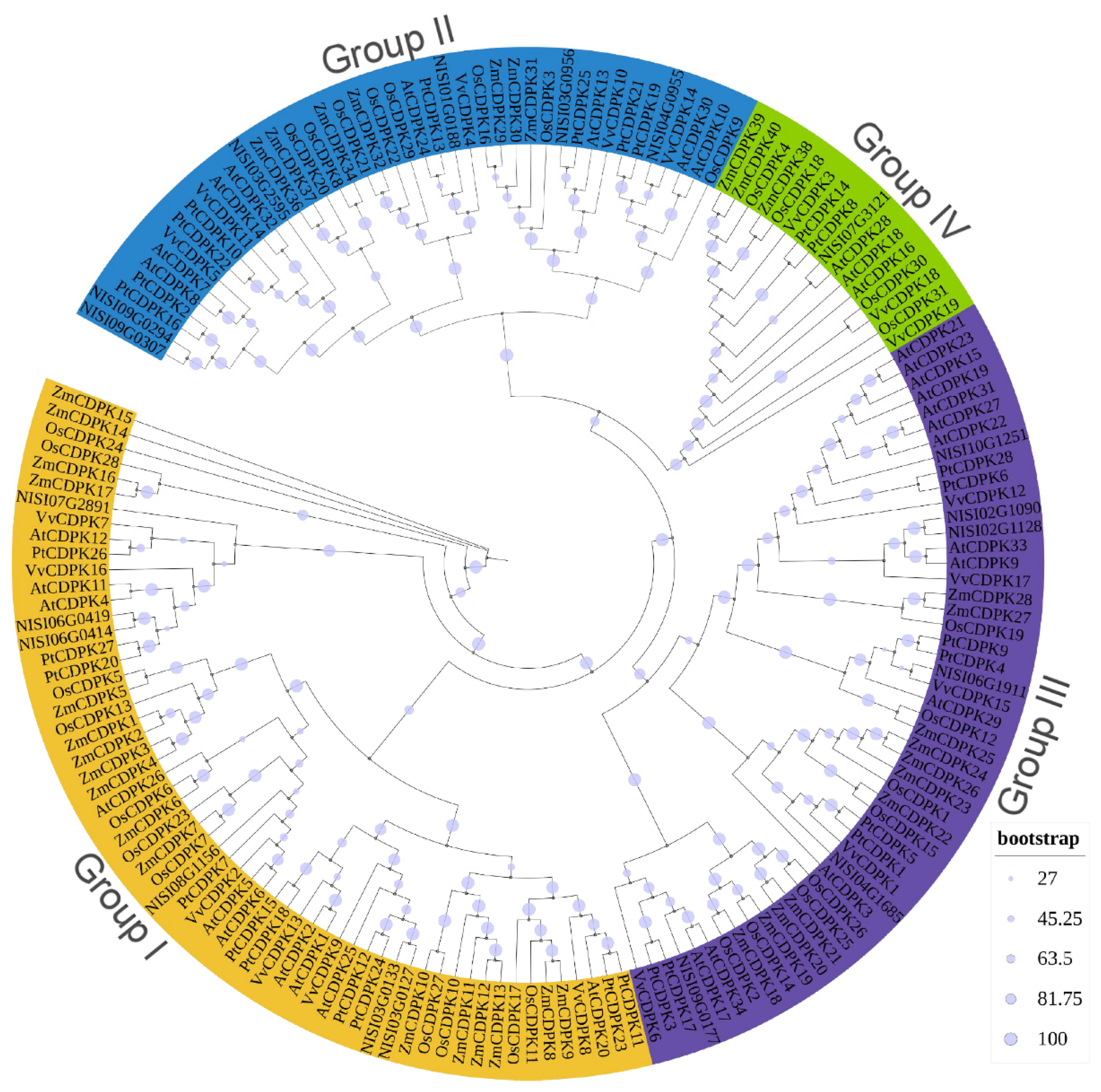 Plants 14 03091 g003 Plants 14 03091 g003