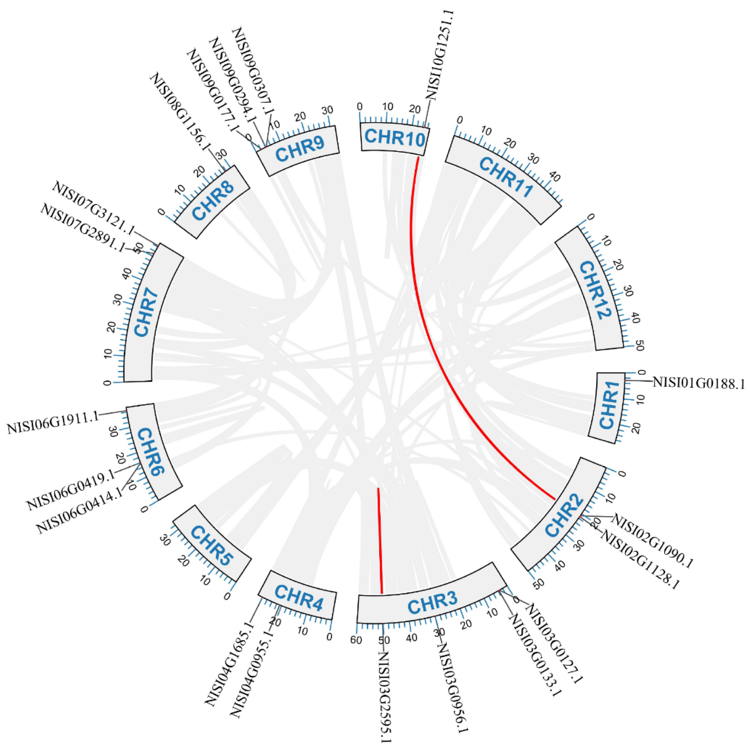 Plants 14 03091 g005 Plants 14 03091 g005