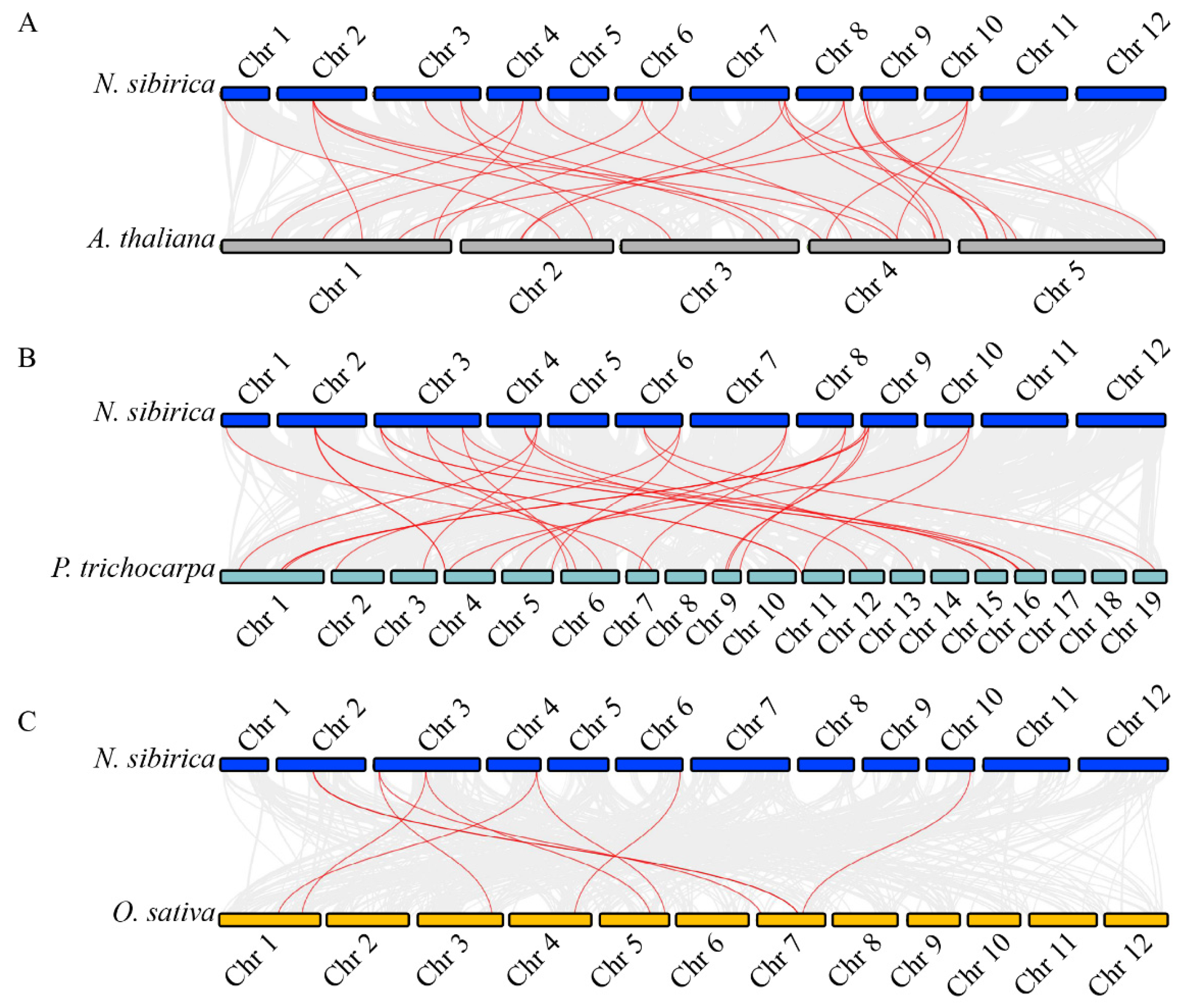 Plants 14 03091 g006 Plants 14 03091 g006