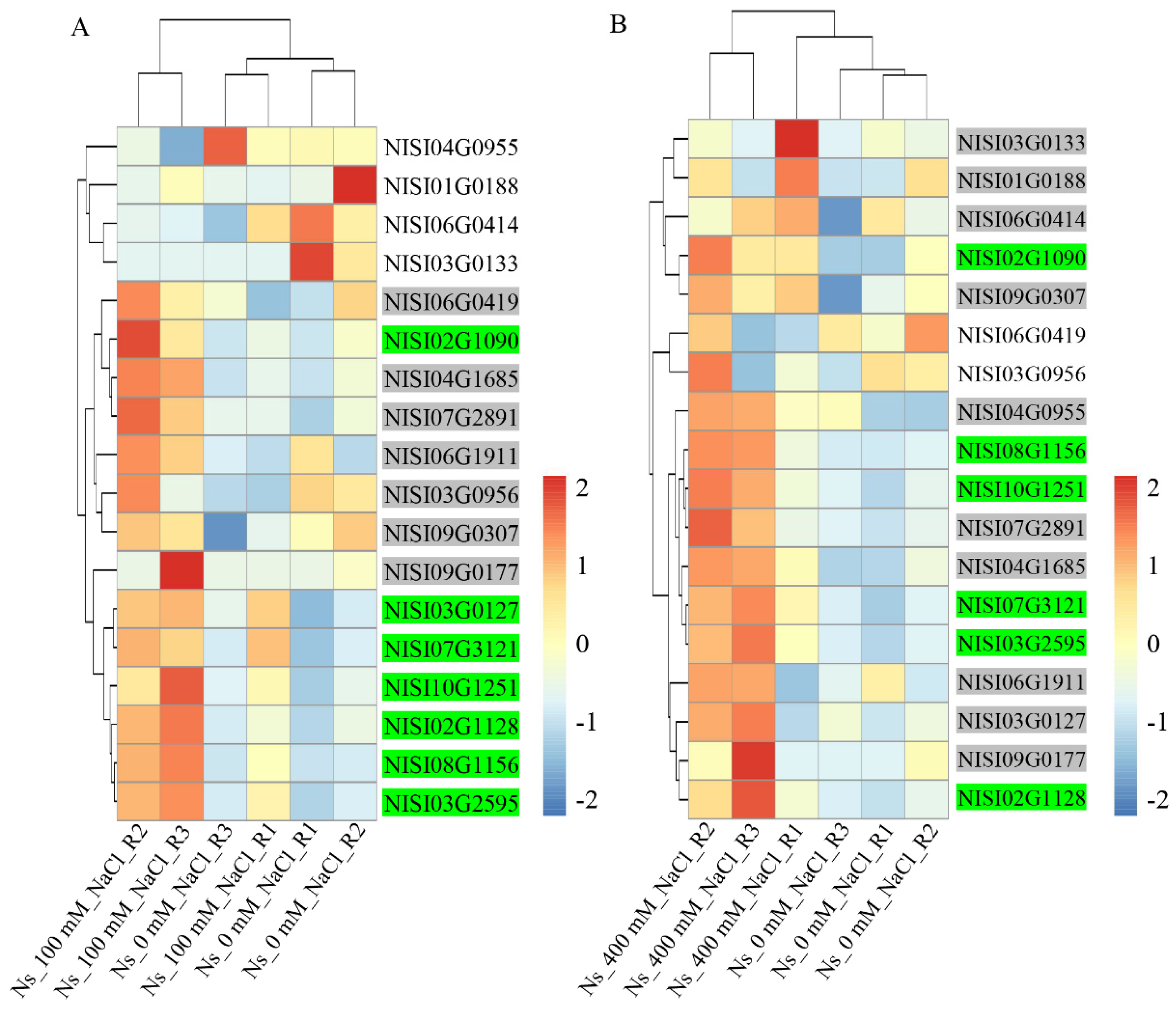 Plants 14 03091 g008 Plants 14 03091 g008