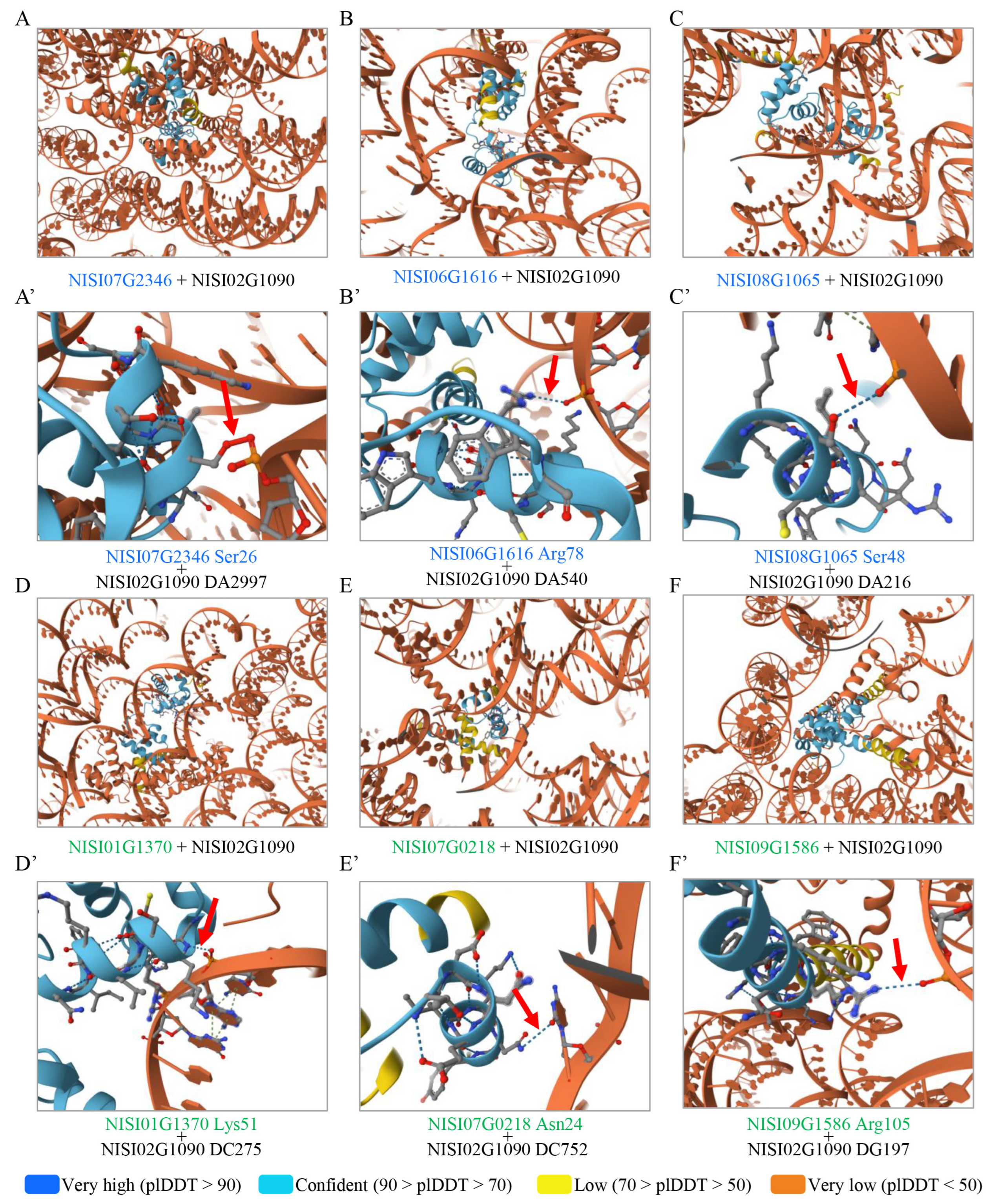 Plants 14 03091 g013 Plants 14 03091 g013