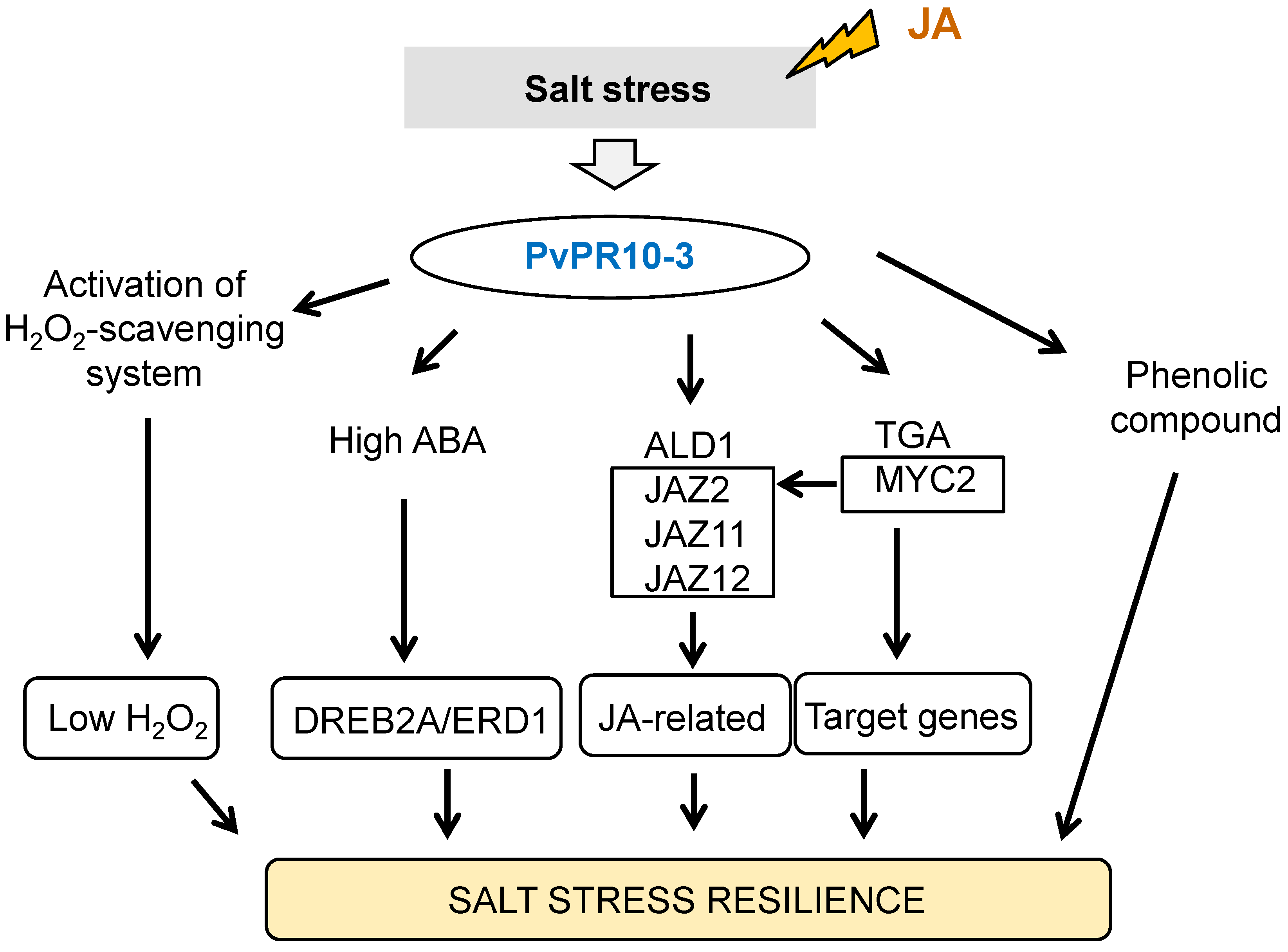 Plants 14 03092 g008 Plants 14 03092 g008