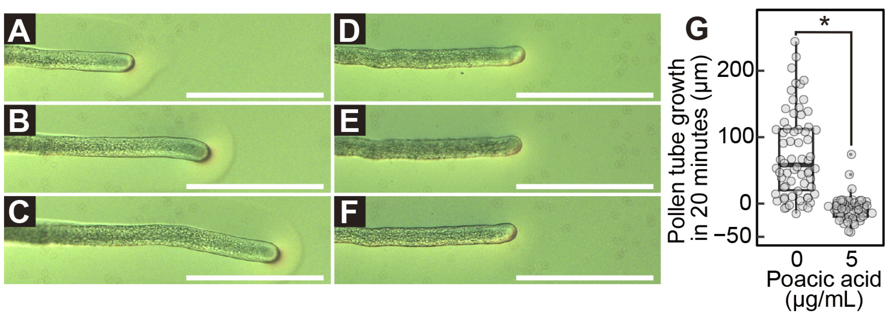 Plants 14 03093 g002 Plants 14 03093 g002