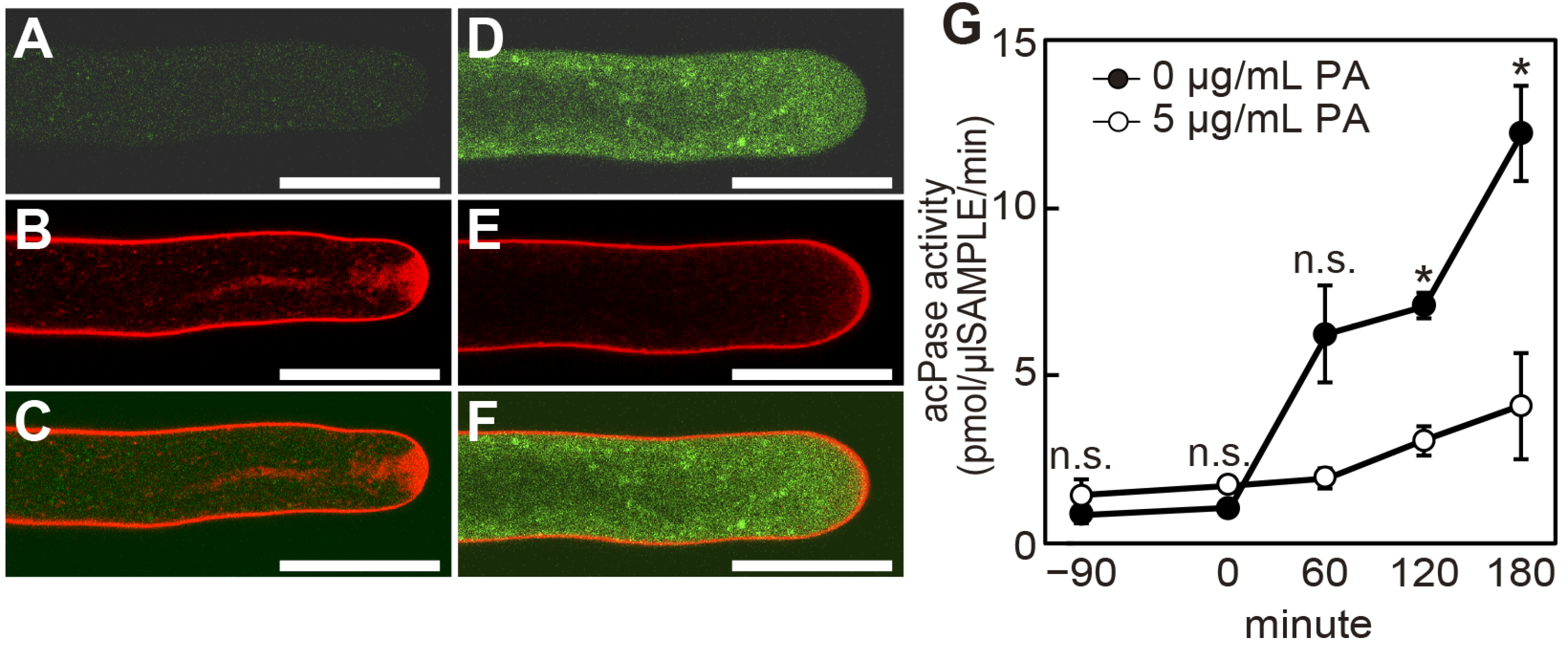 Plants 14 03093 g004 Plants 14 03093 g004