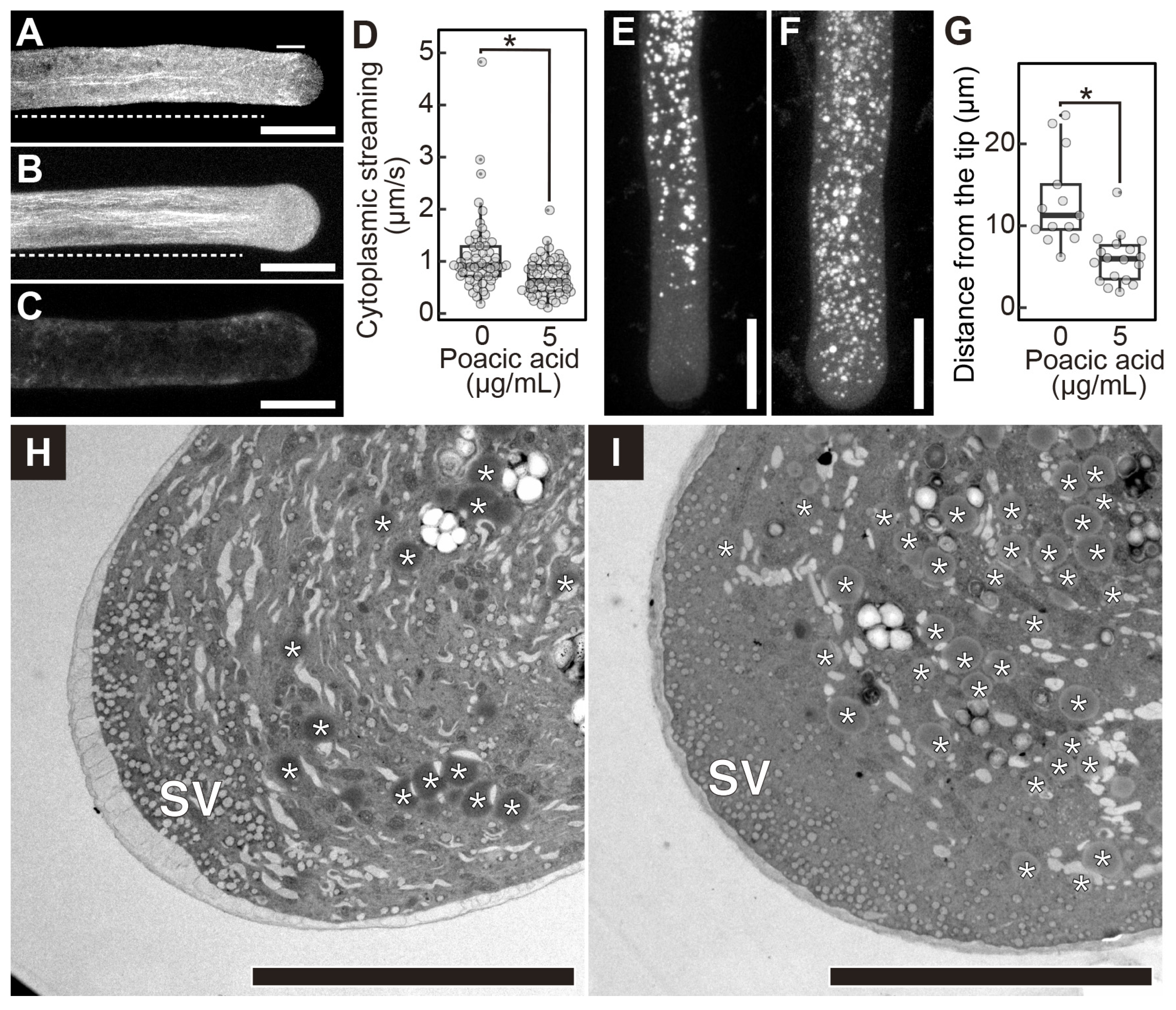 Plants 14 03093 g005 Plants 14 03093 g005