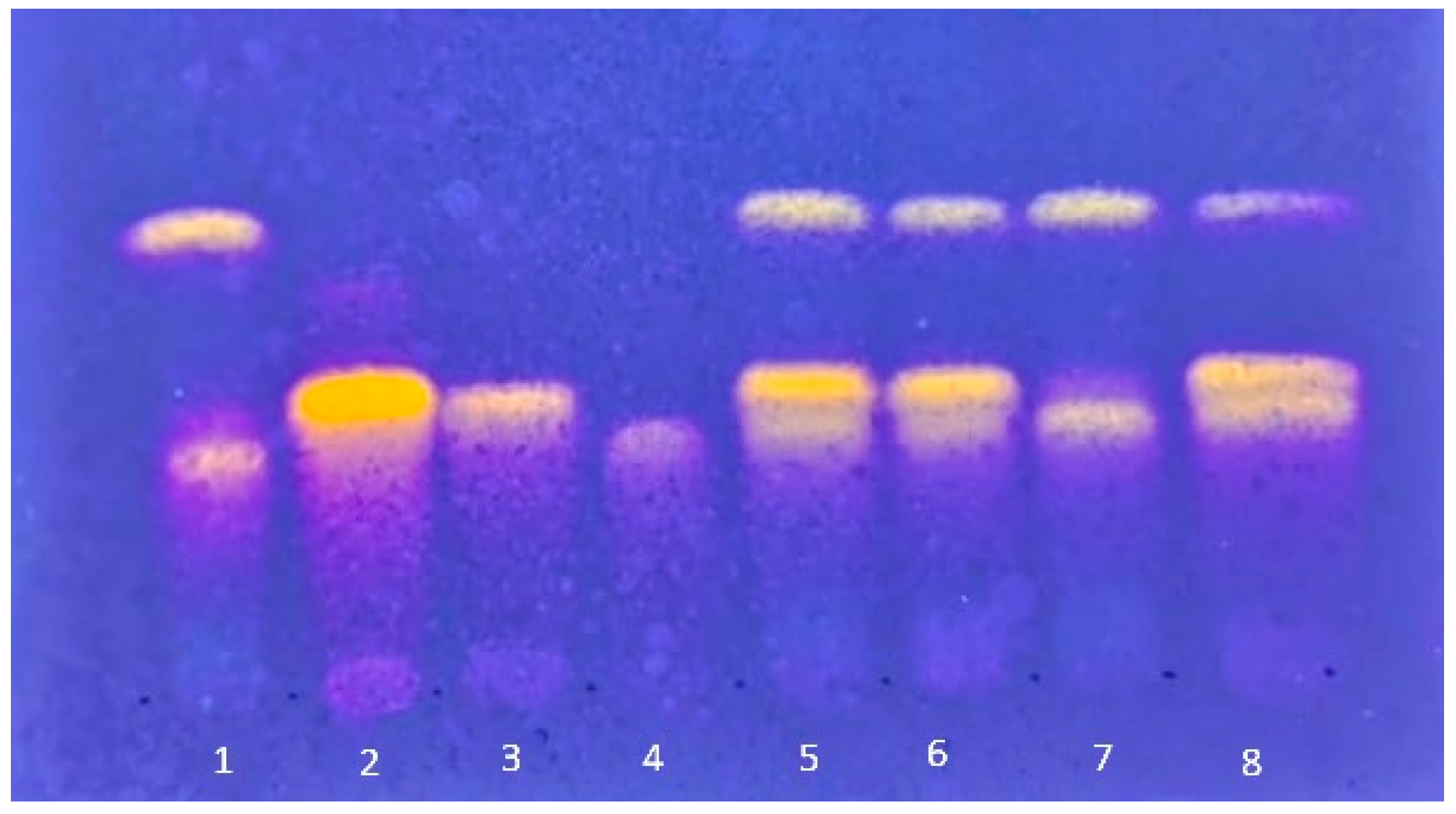 Plants 14 03099 g002