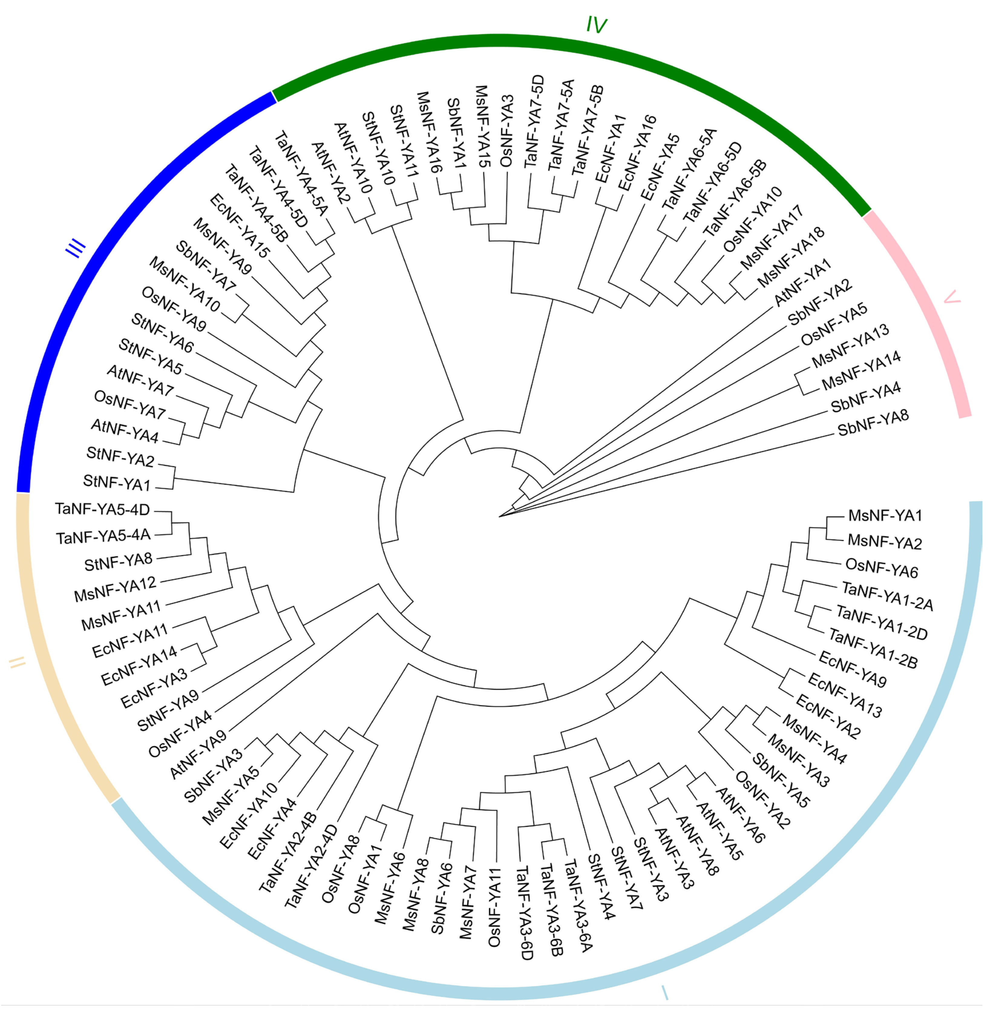 Plants 14 03100 g001 Plants 14 03100 g001