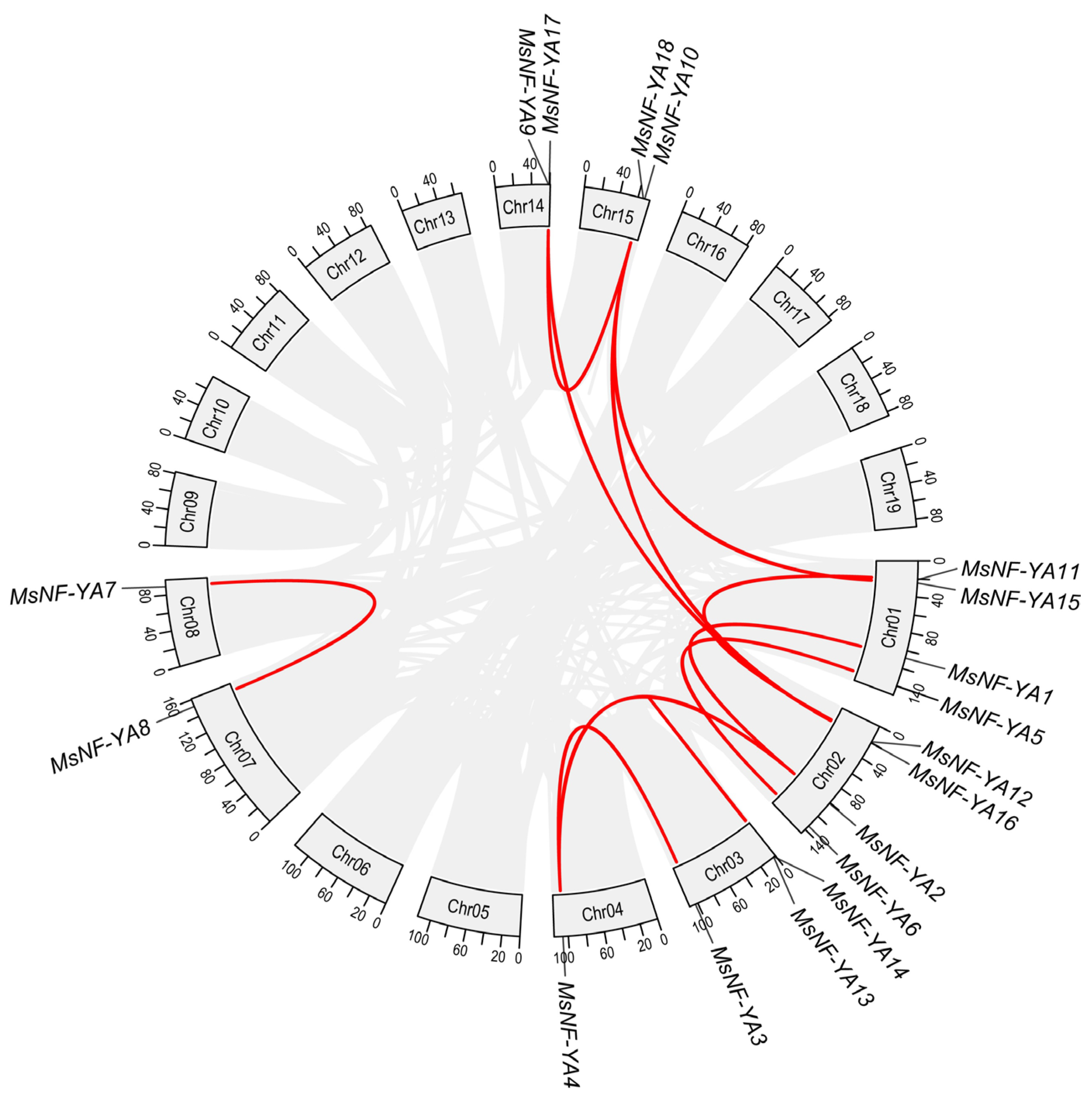 Plants 14 03100 g004 Plants 14 03100 g004