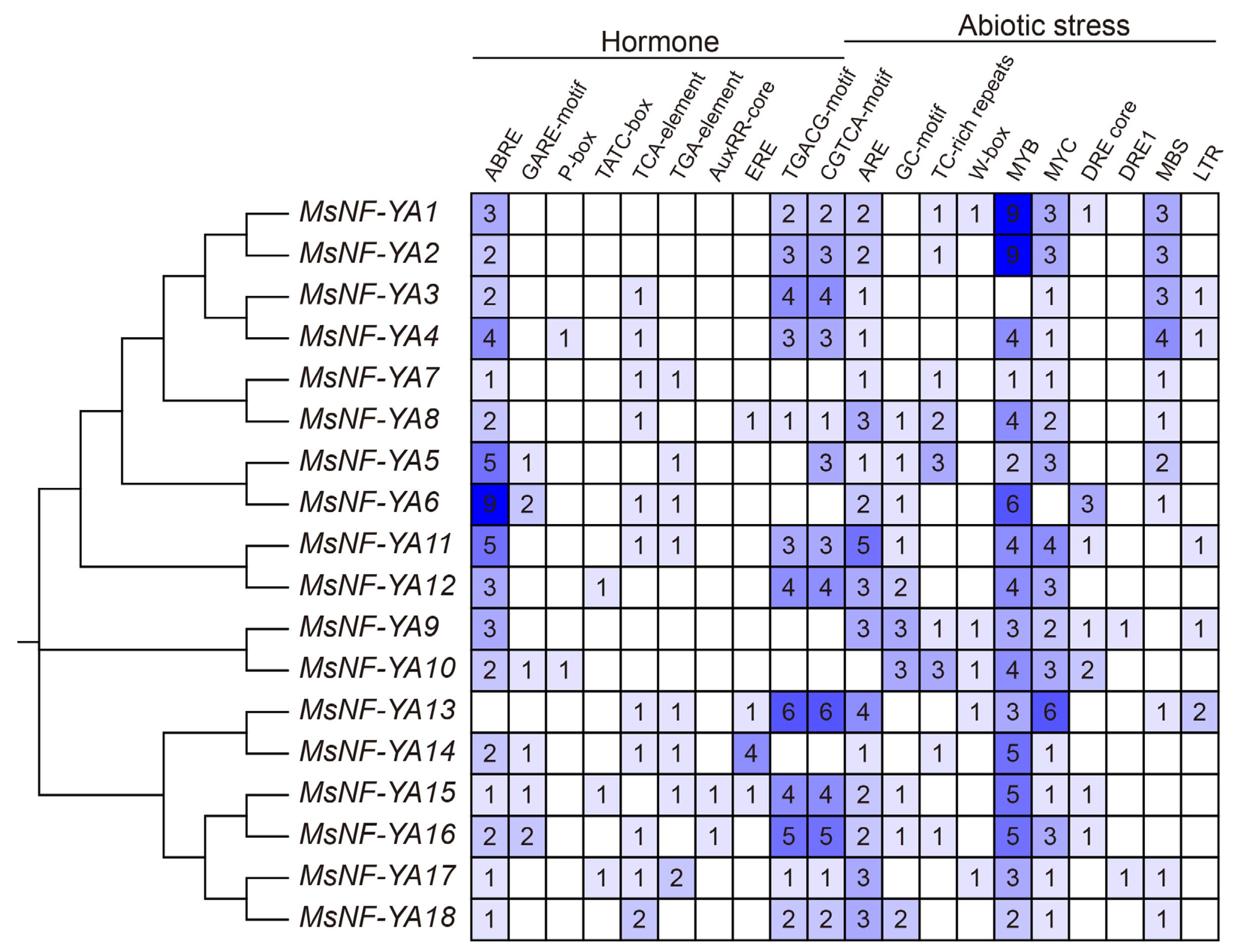 Plants 14 03100 g005 Plants 14 03100 g005