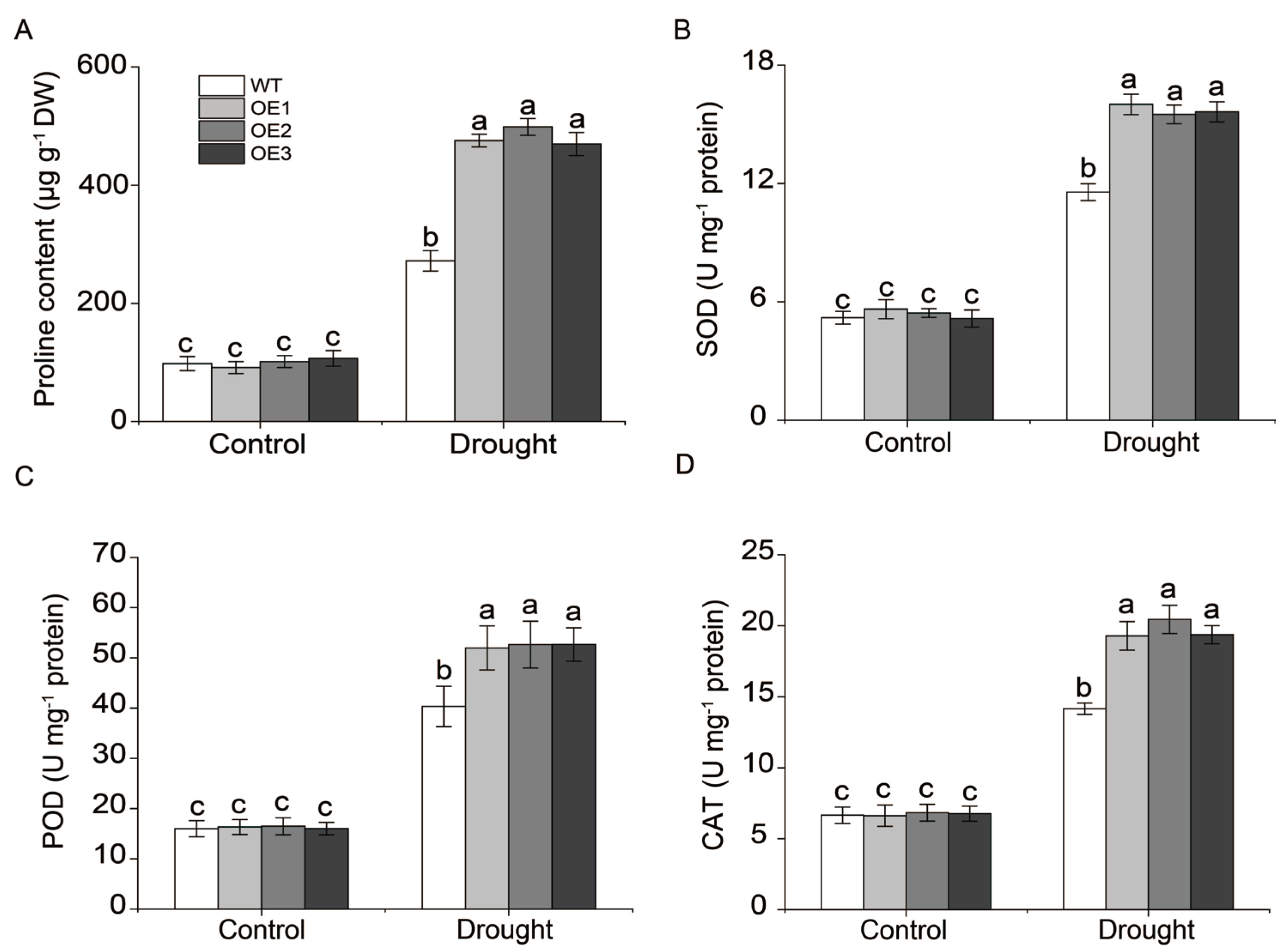 Plants 14 03100 g008 Plants 14 03100 g008