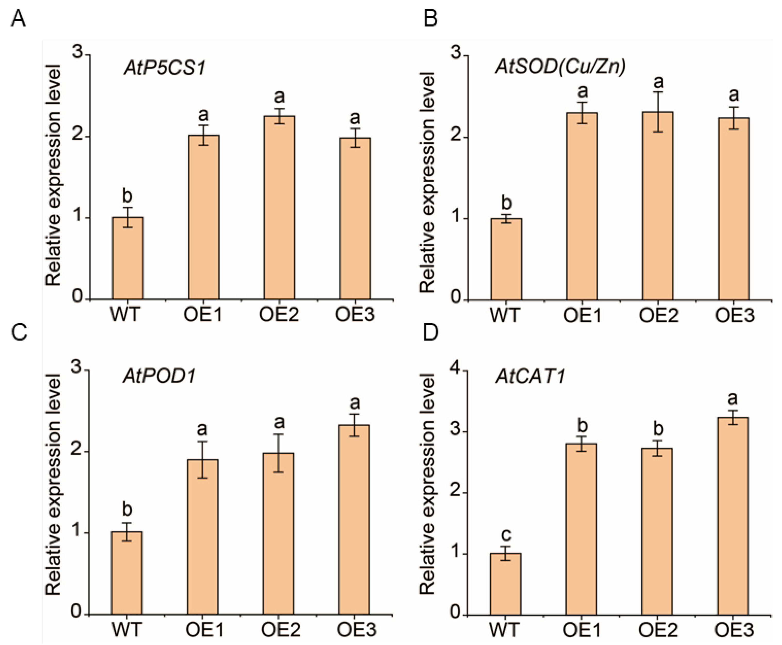 Plants 14 03100 g009 Plants 14 03100 g009
