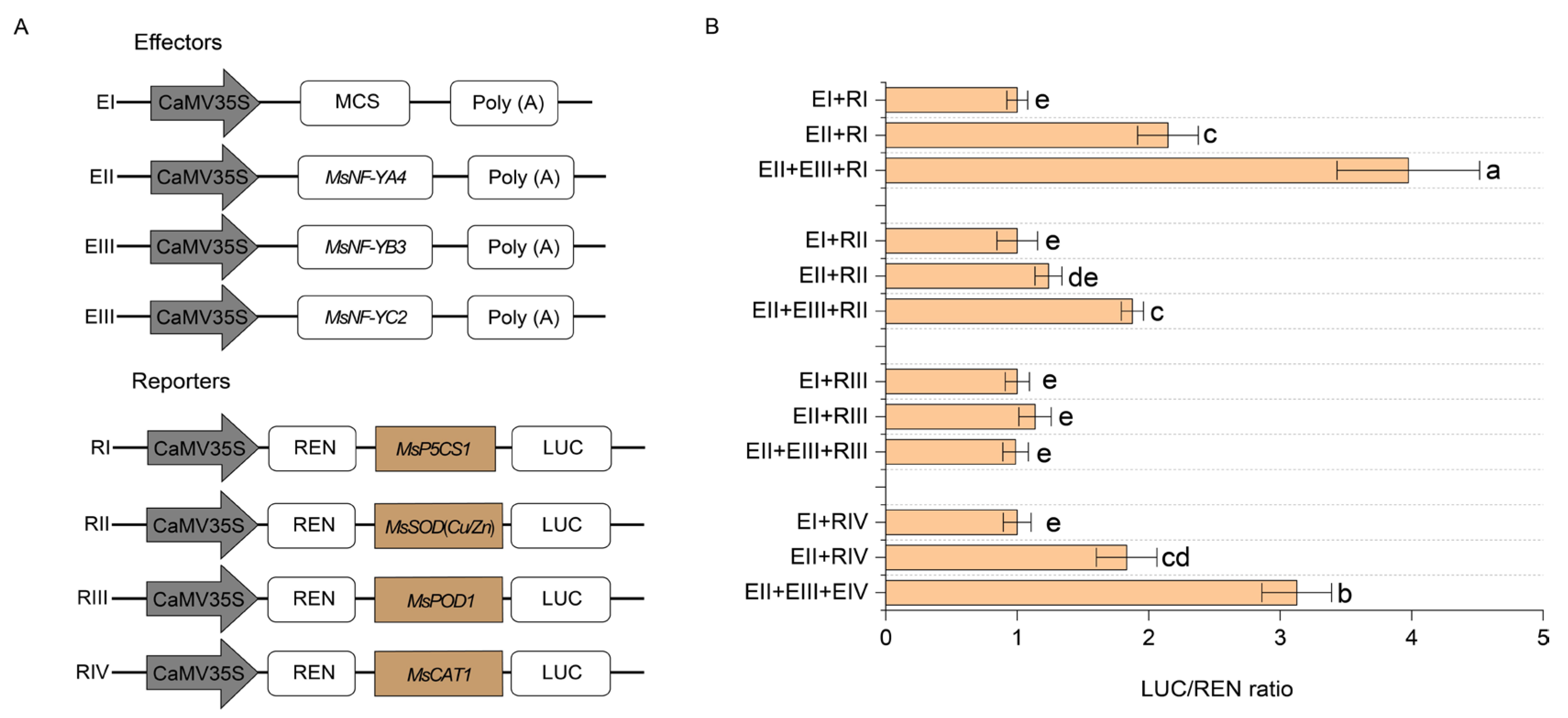 Plants 14 03100 g010 Plants 14 03100 g010