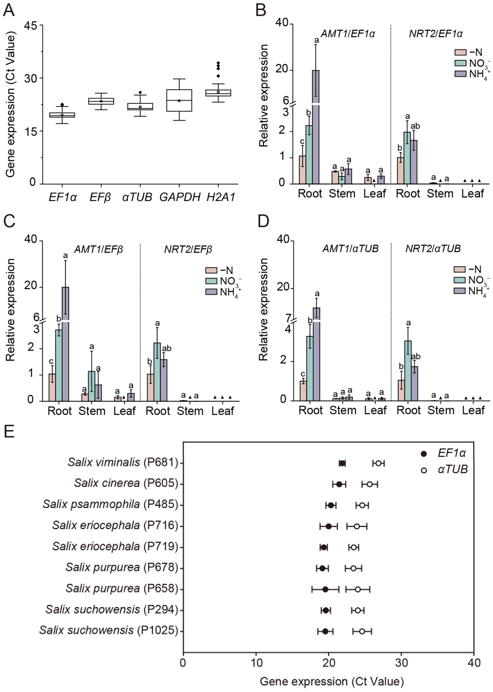 Plants 14 03101 g005 Plants 14 03101 g005
