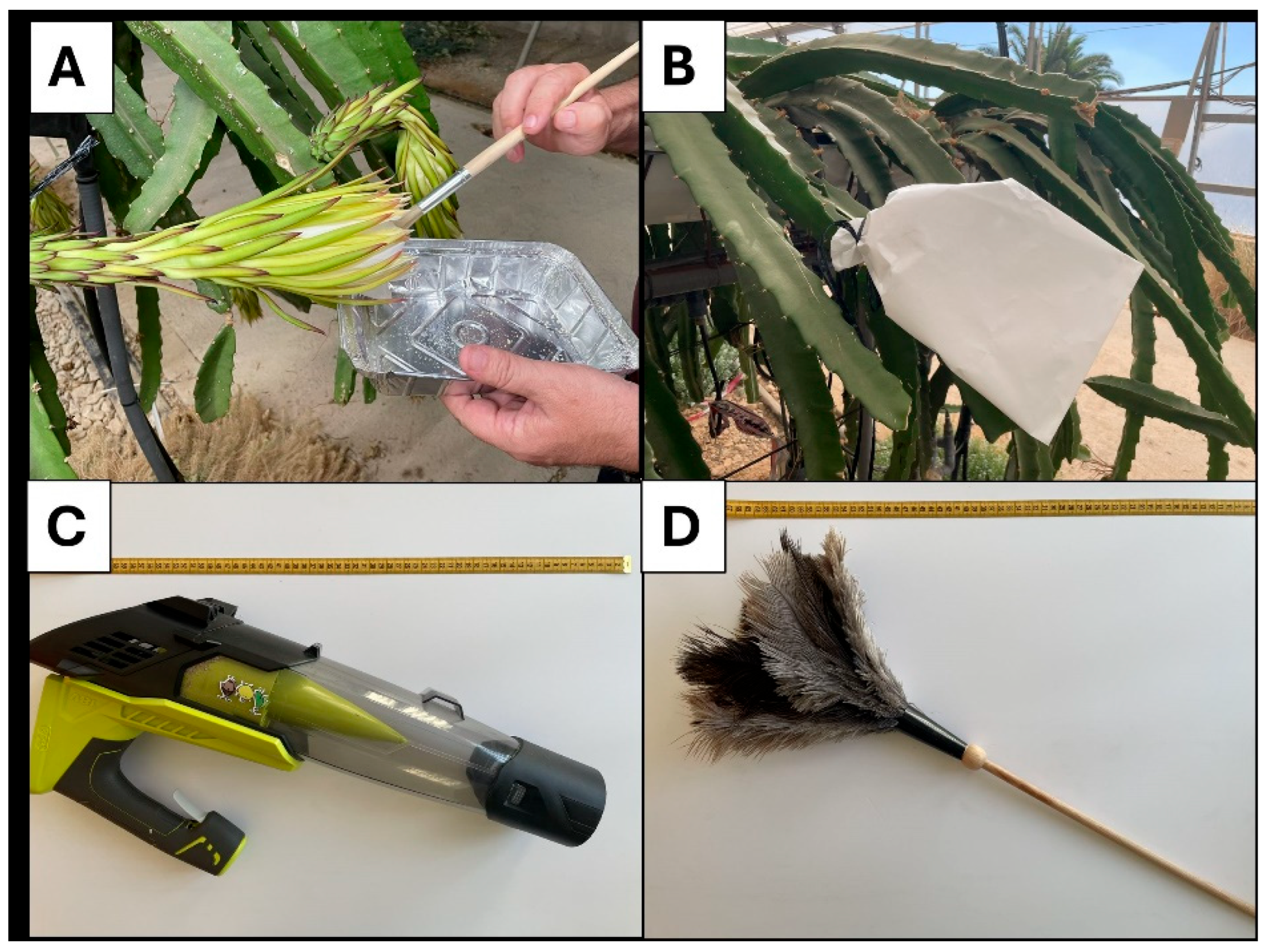 Plants 14 03102 g006