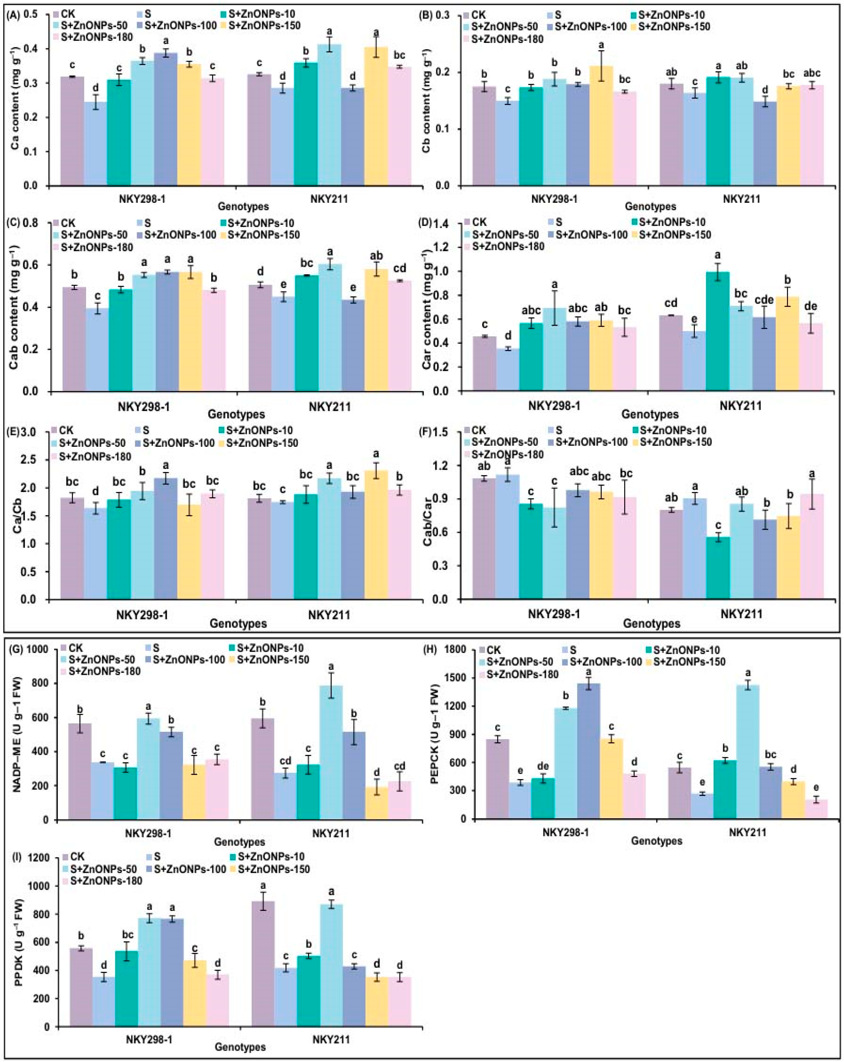 Plants 14 03104 g003 Plants 14 03104 g003