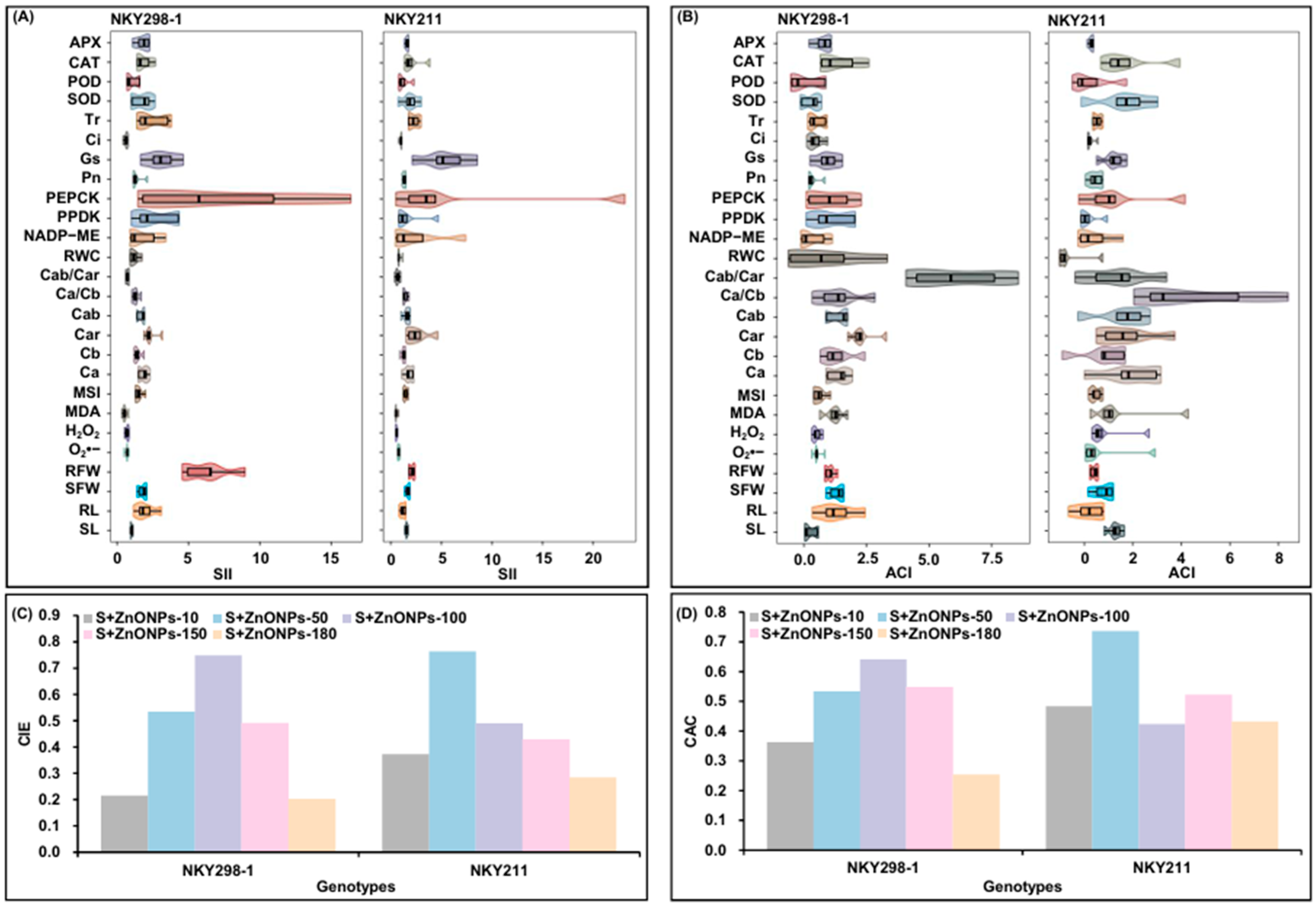 Plants 14 03104 g007 Plants 14 03104 g007