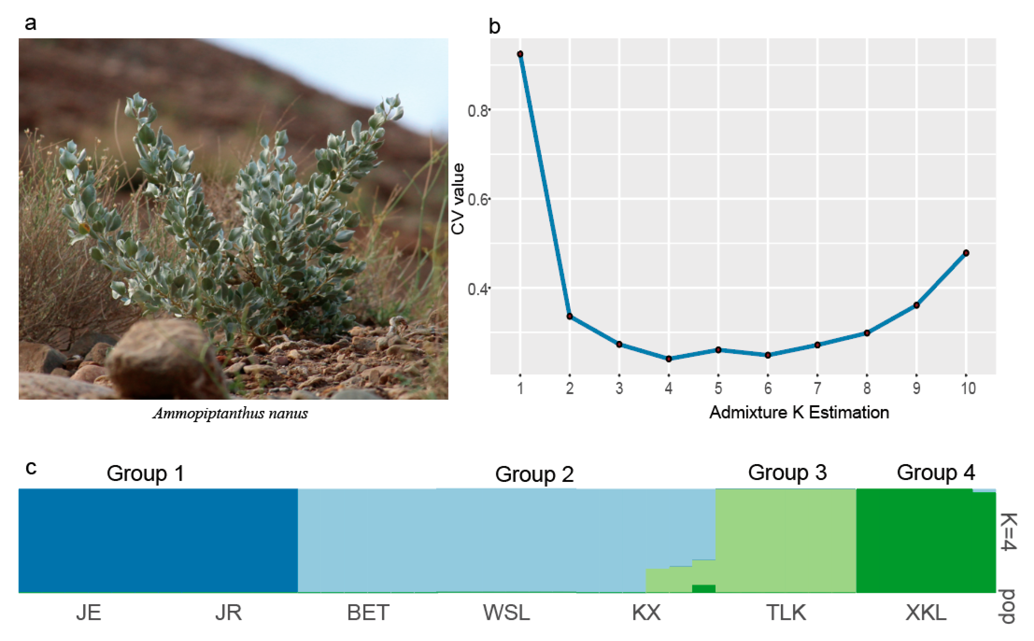 Plants 14 03105 g002
