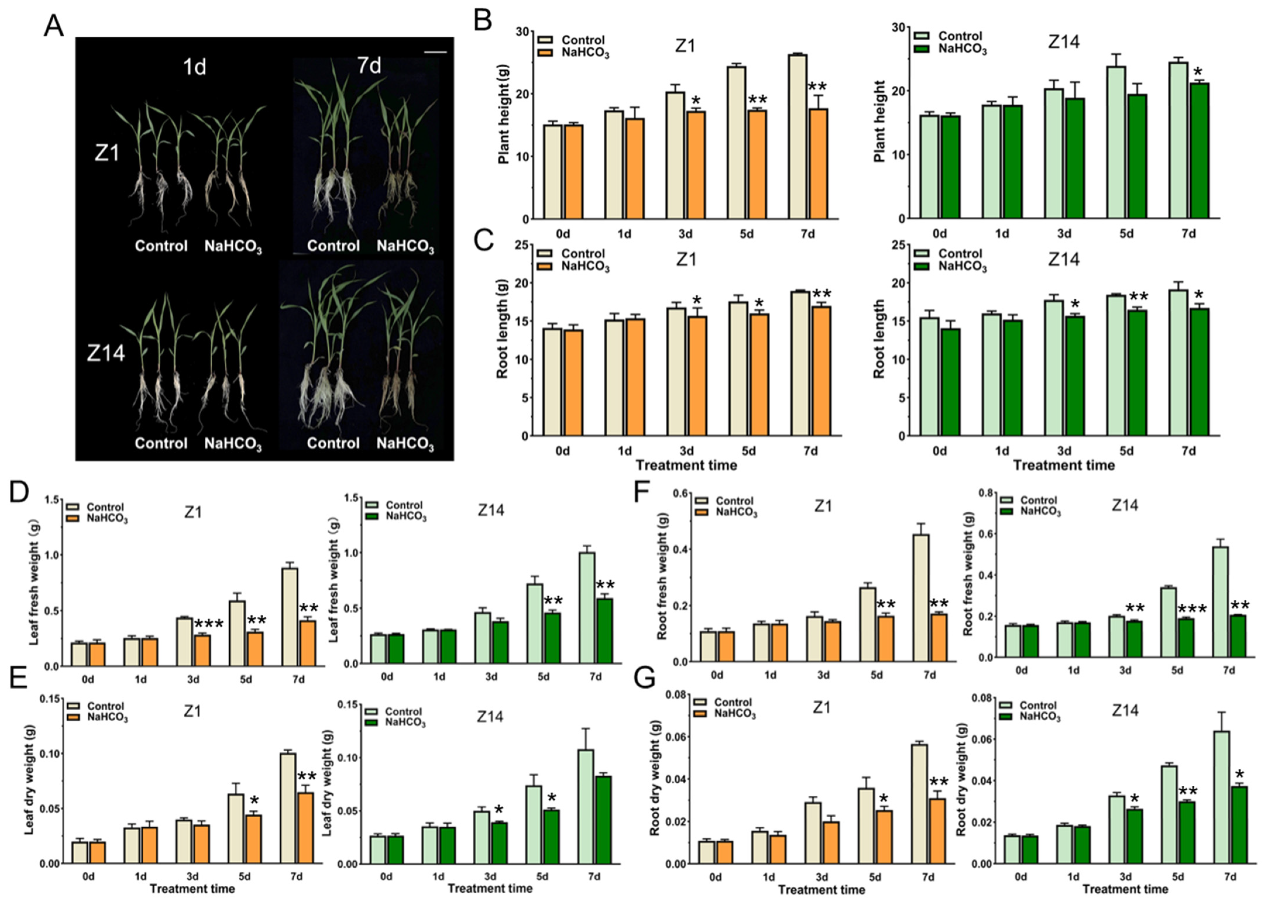 Plants 14 03106 g001 Plants 14 03106 g001