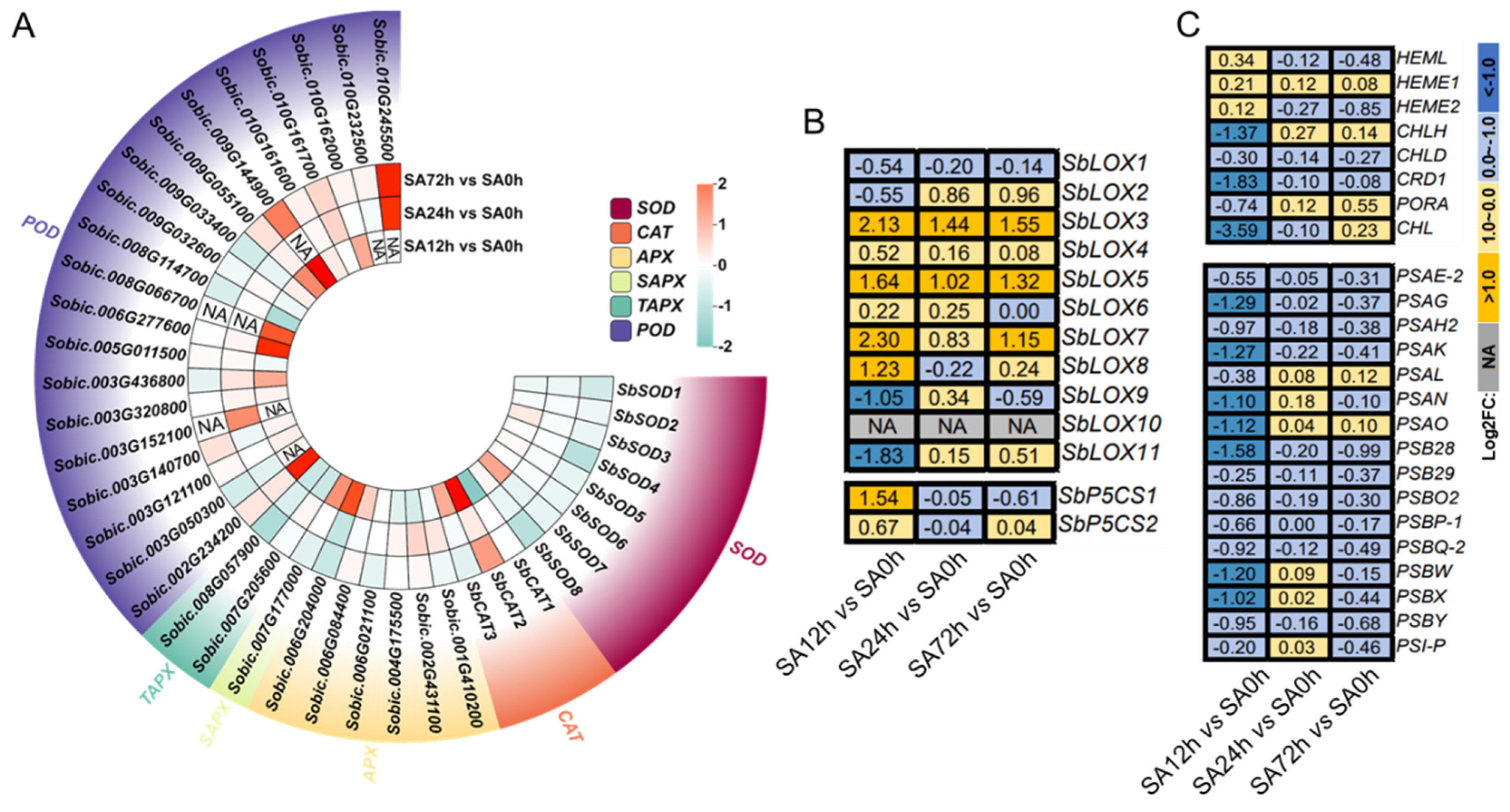 Plants 14 03106 g006 Plants 14 03106 g006