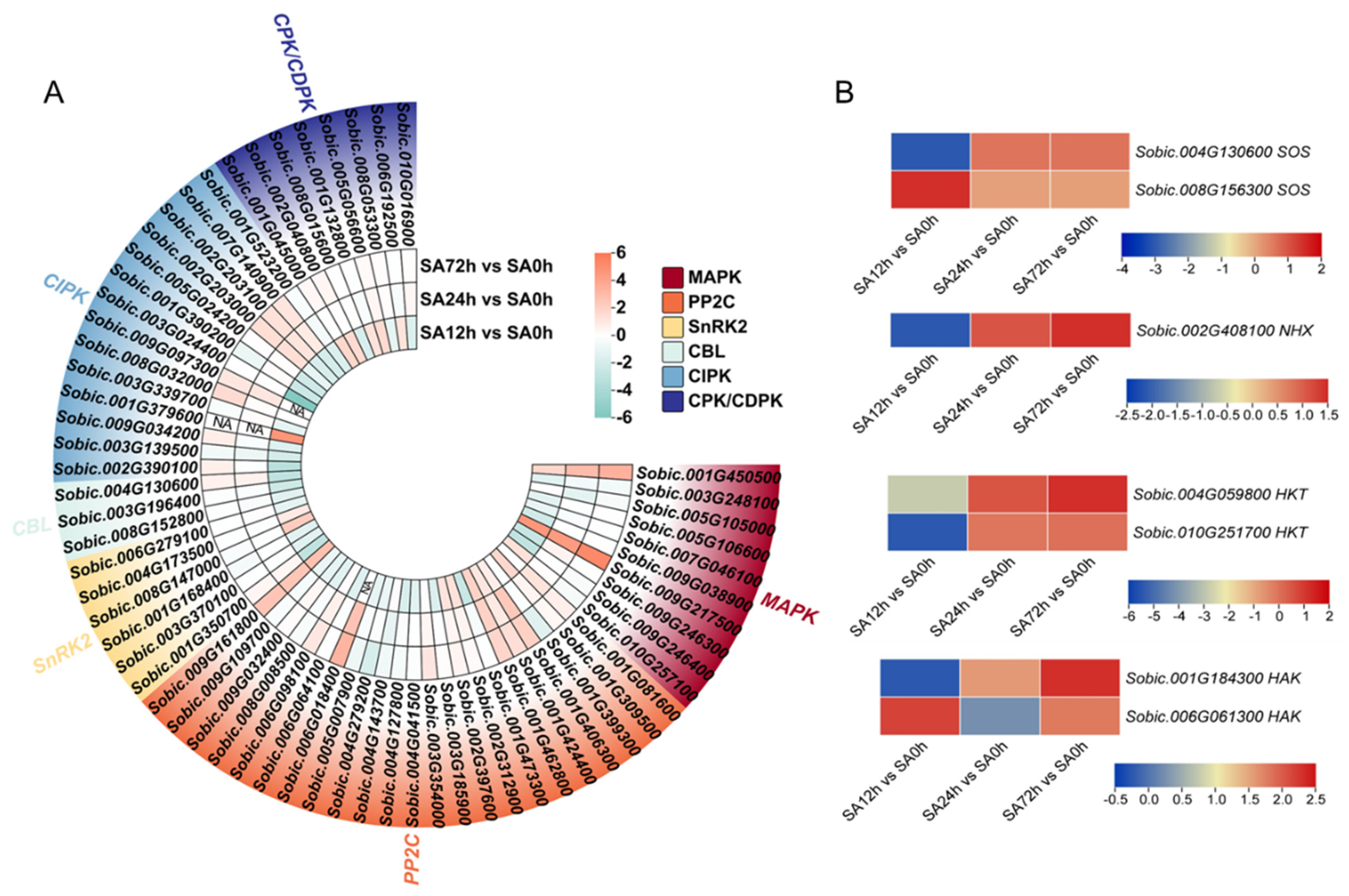 Plants 14 03106 g007 Plants 14 03106 g007