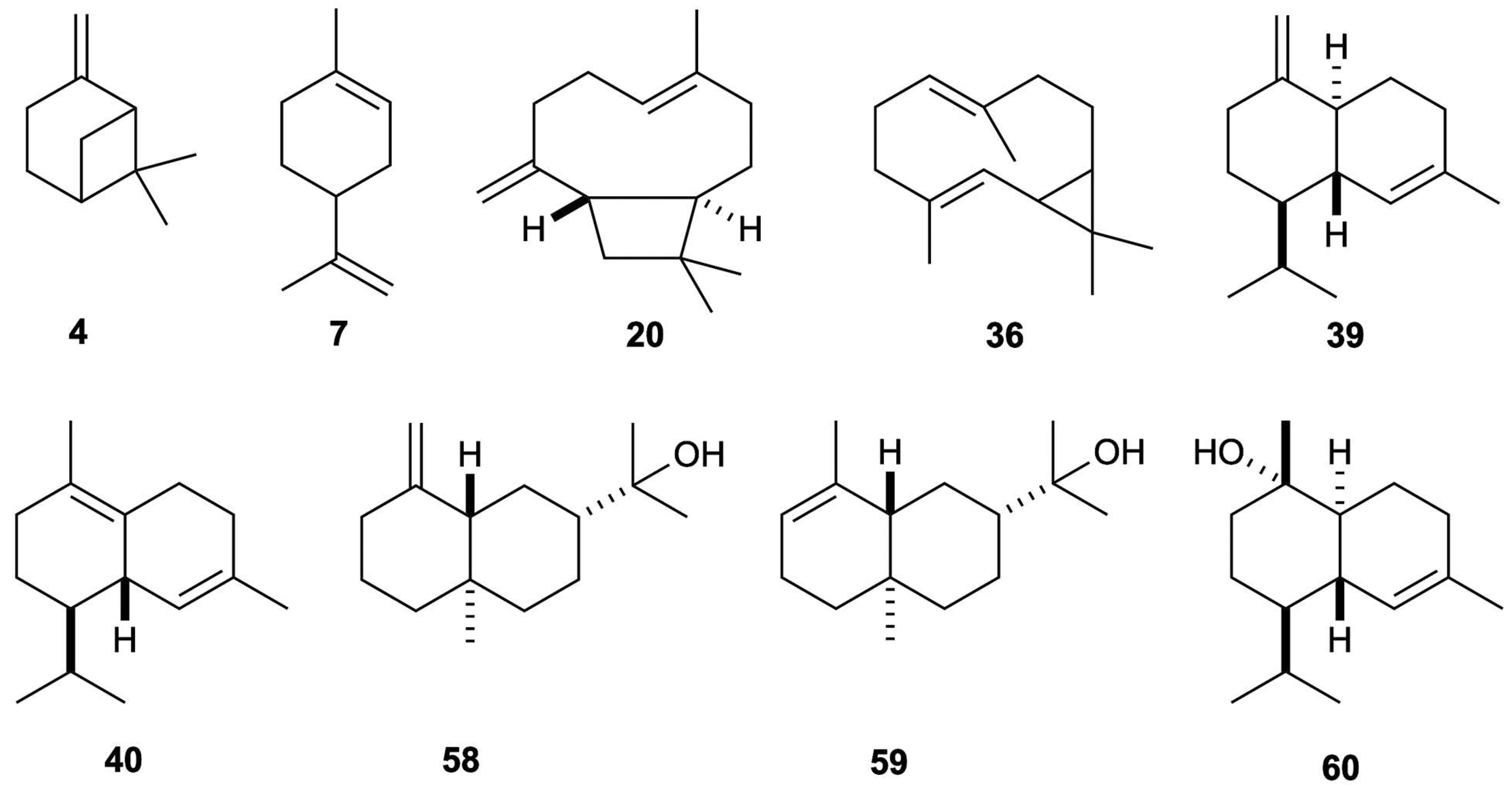 Plants 14 03110 g002