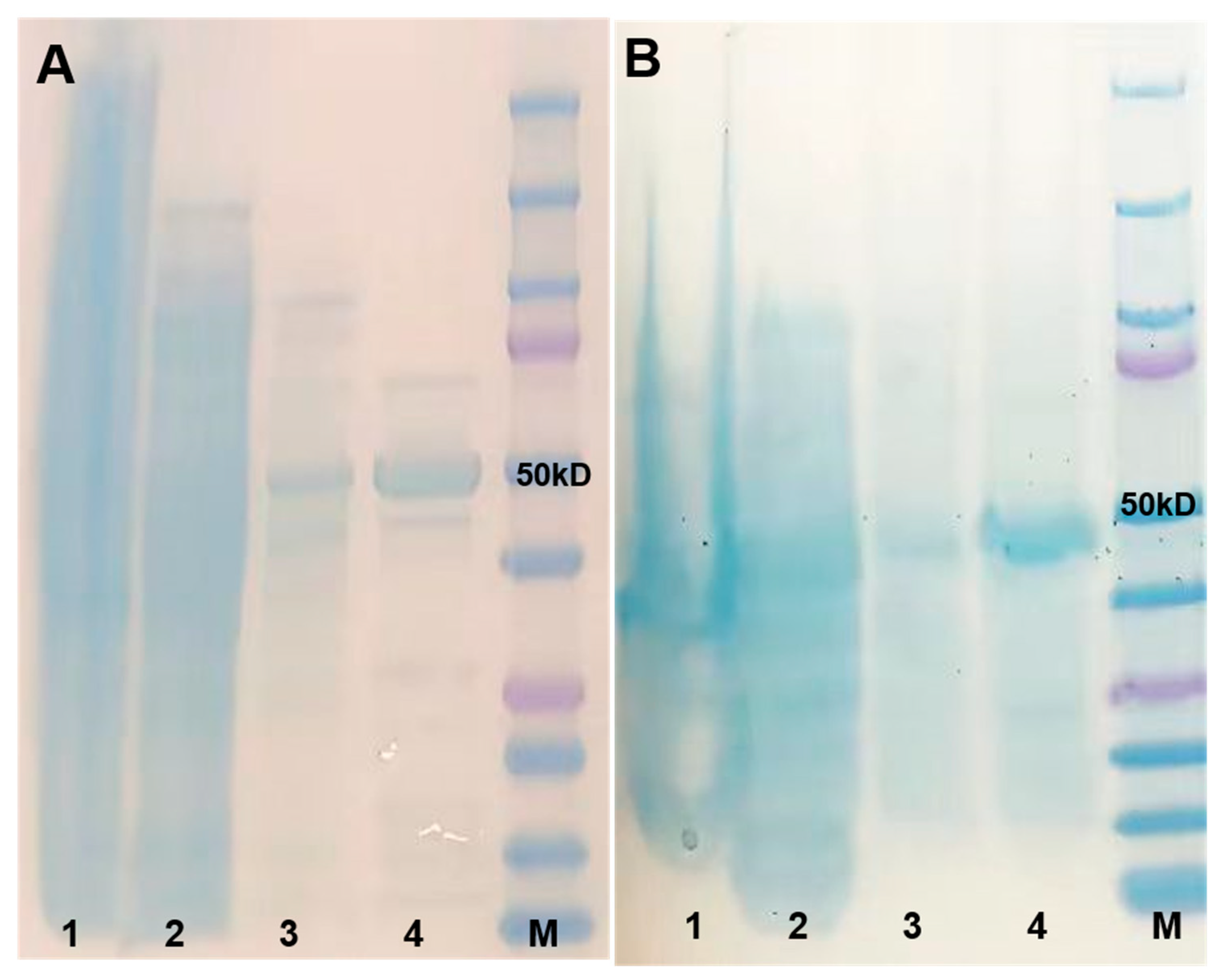 Plants 14 03112 g003 Plants 14 03112 g003