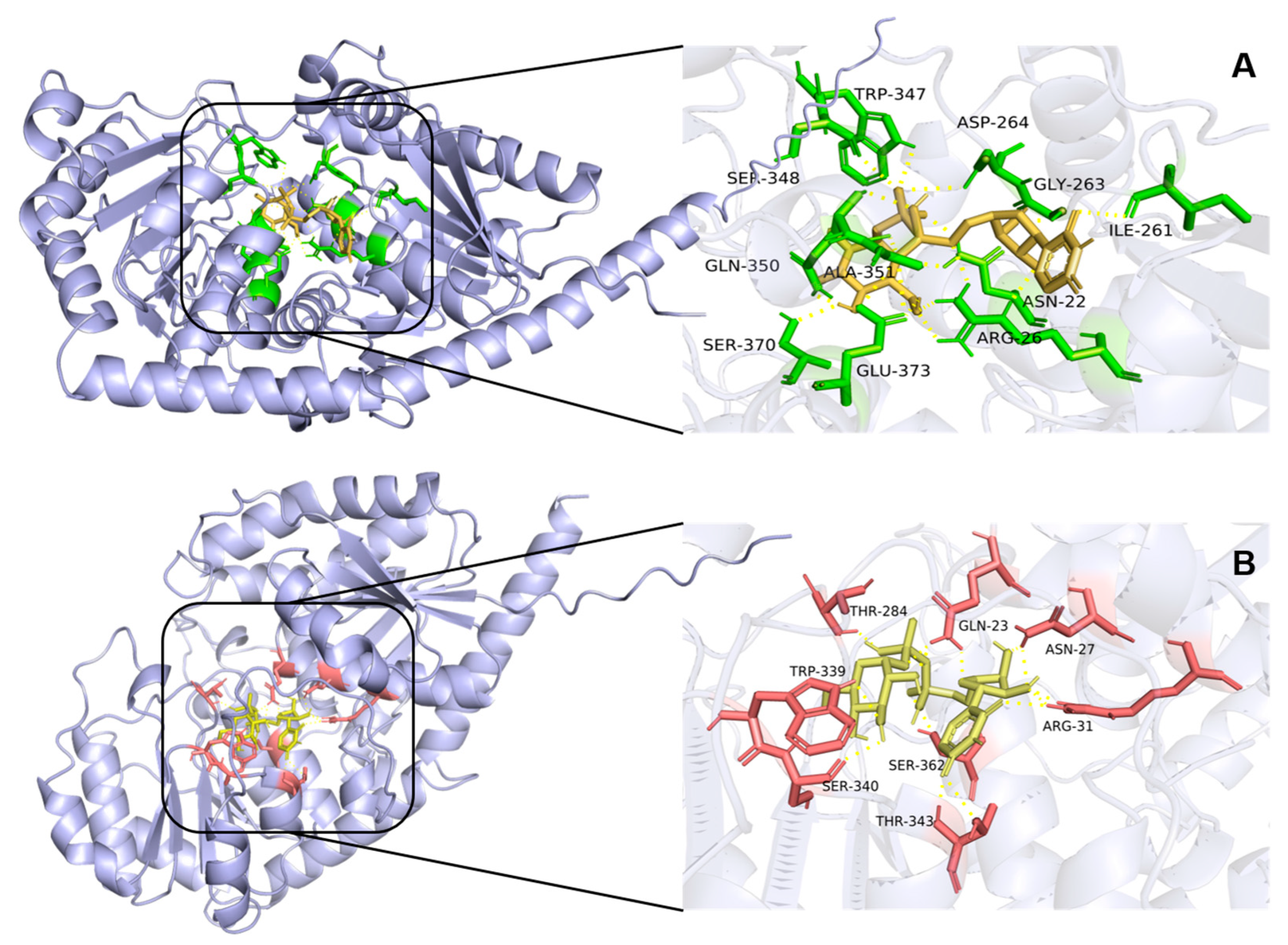 Plants 14 03112 g009 Plants 14 03112 g009