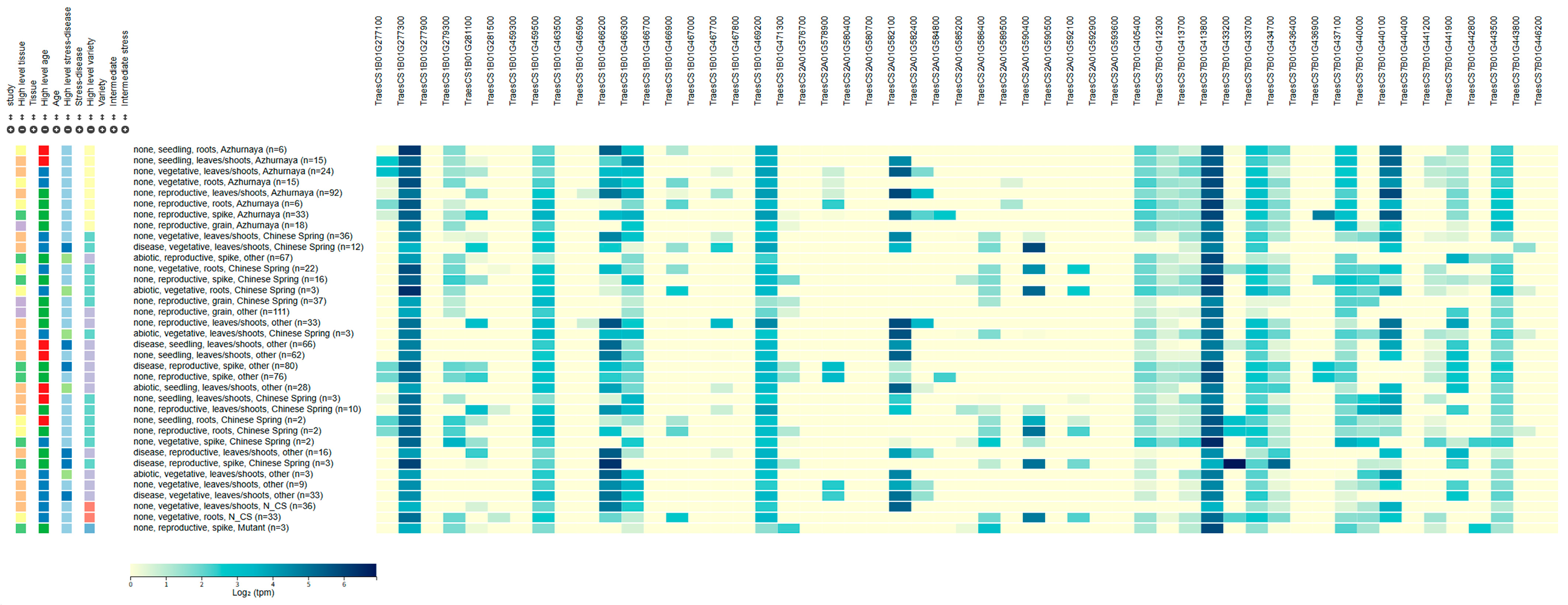 Plants 14 03113 g005
