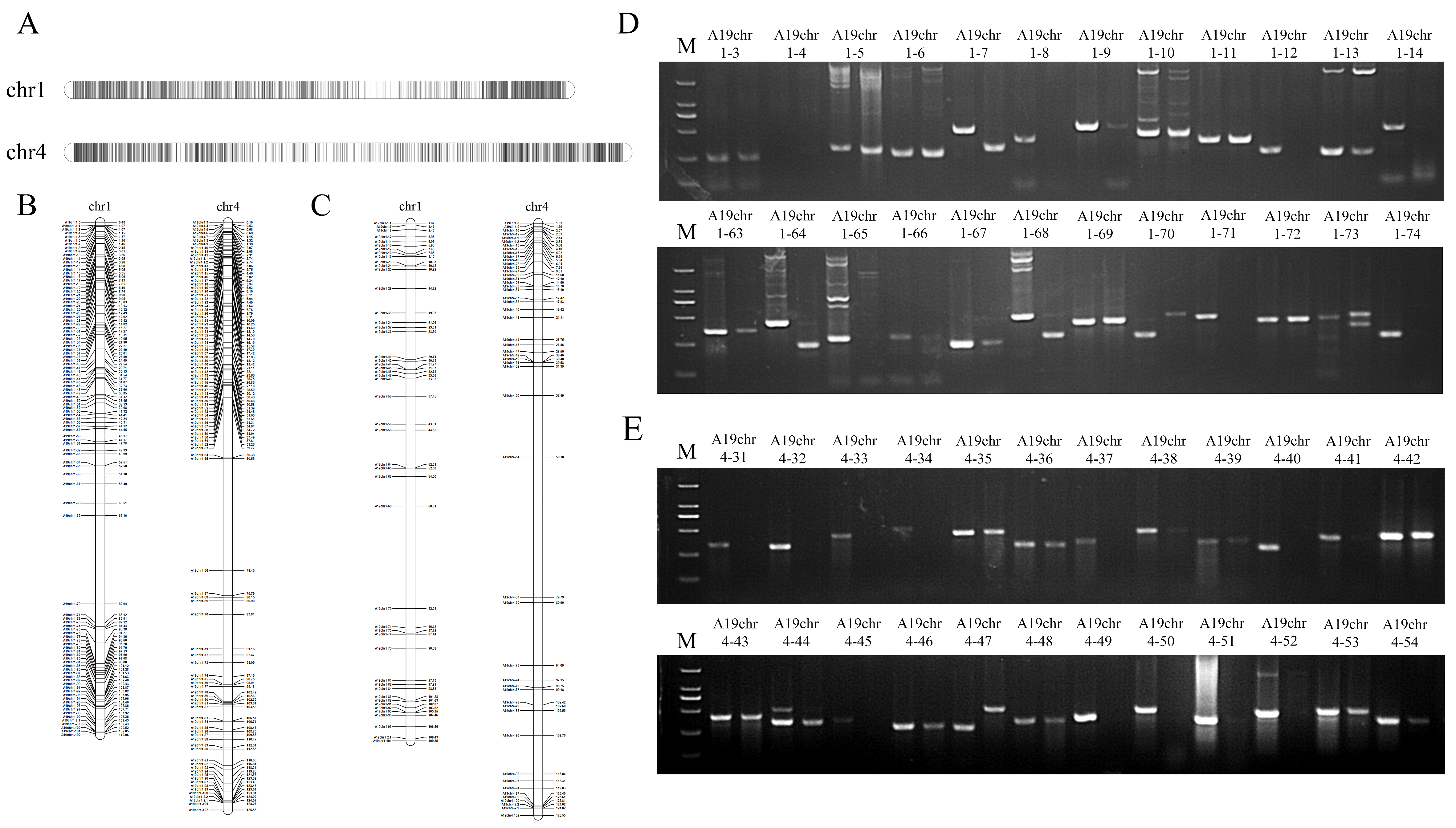 Plants 14 03114 g002 Plants 14 03114 g002