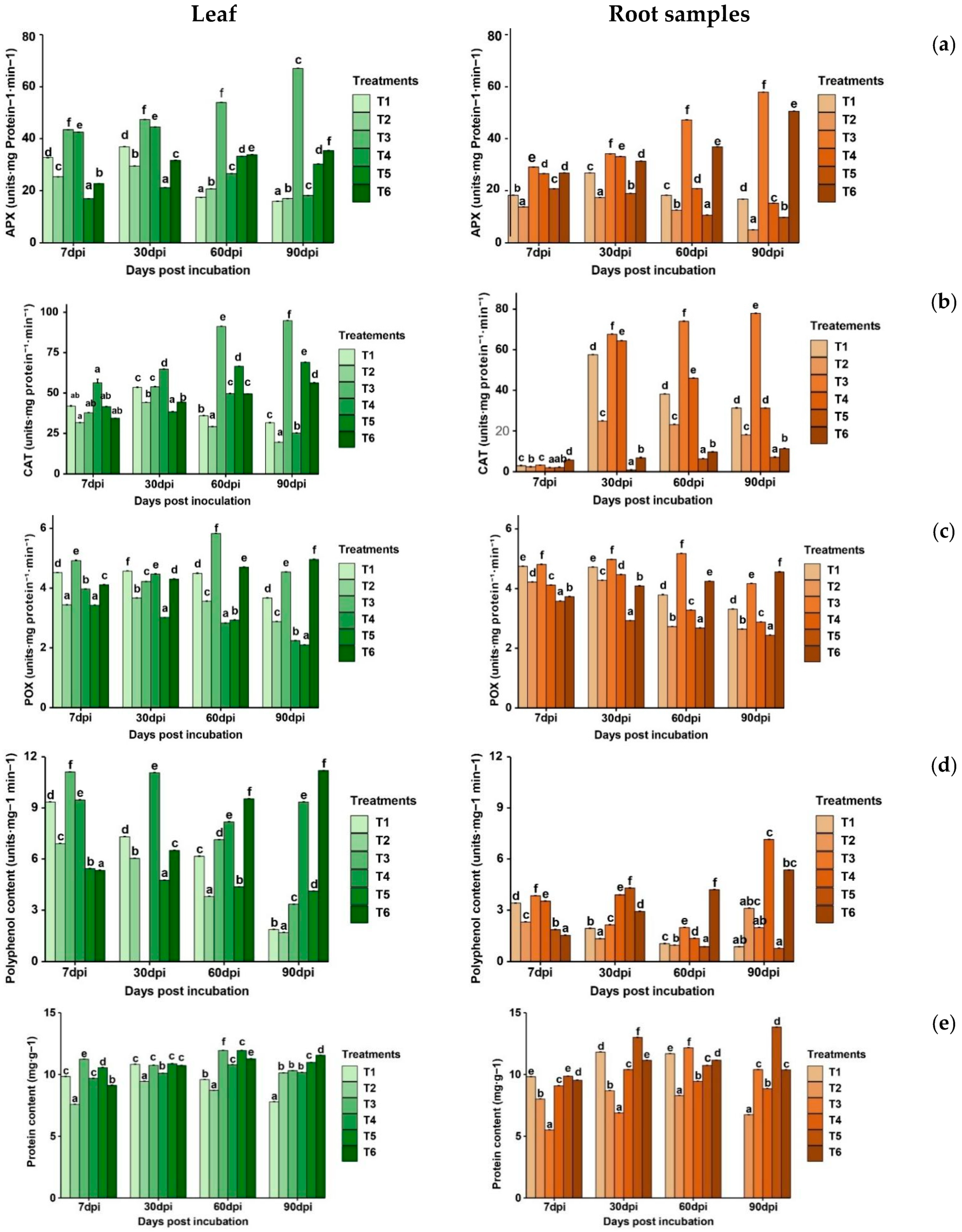 Plants 14 03117 g008 Plants 14 03117 g008