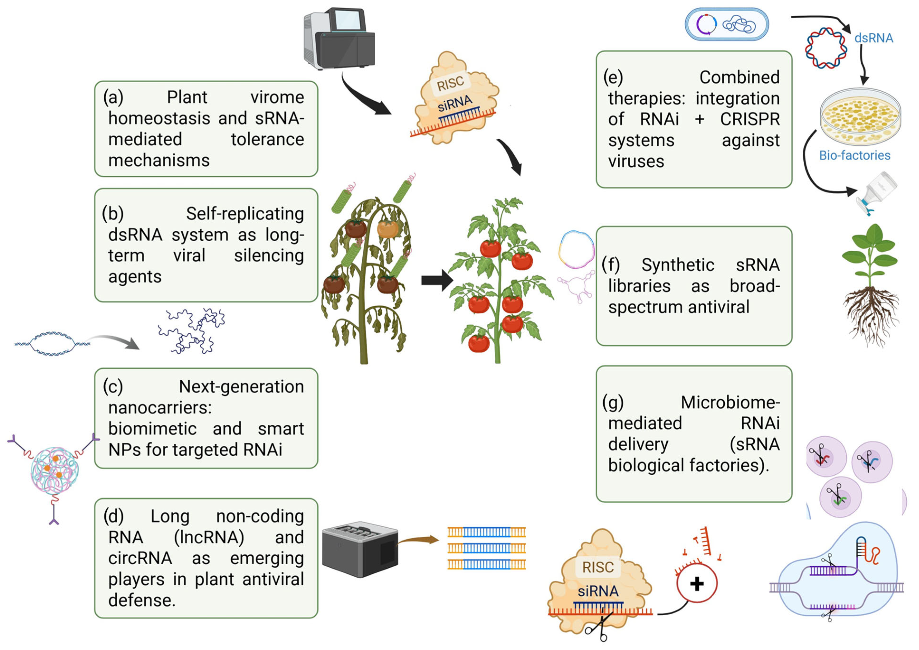 Plants 14 03118 g003