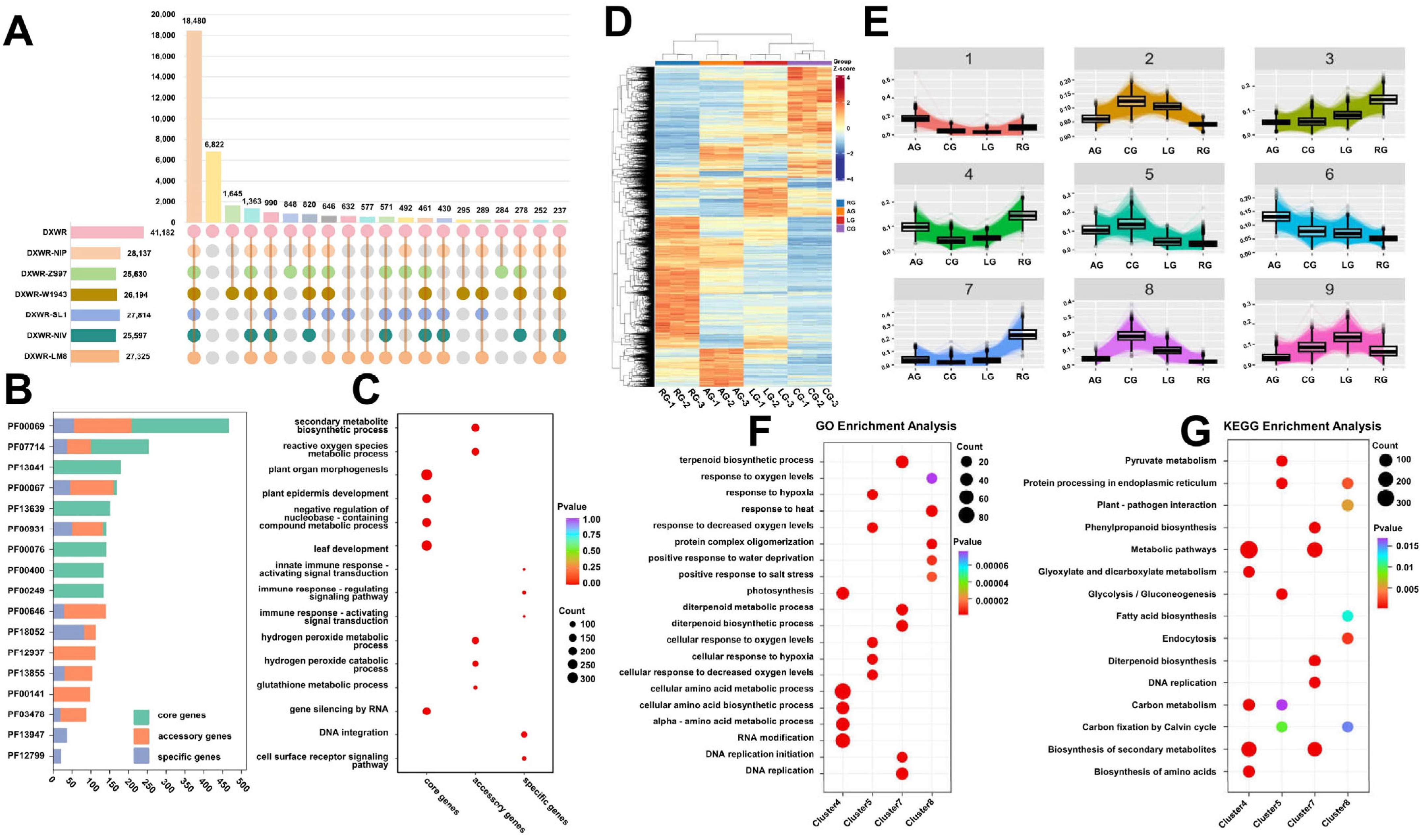 Plants 14 03120 g002