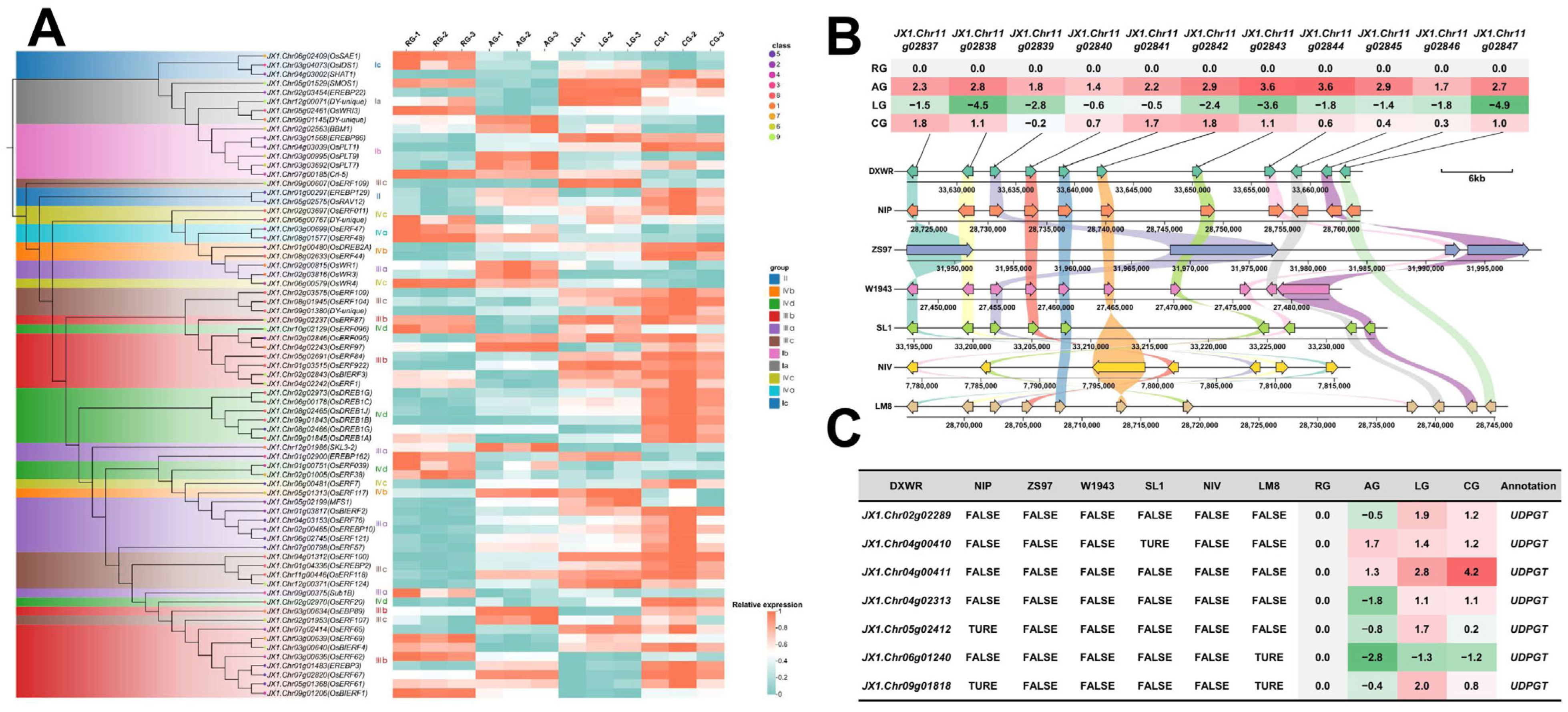 Plants 14 03120 g003