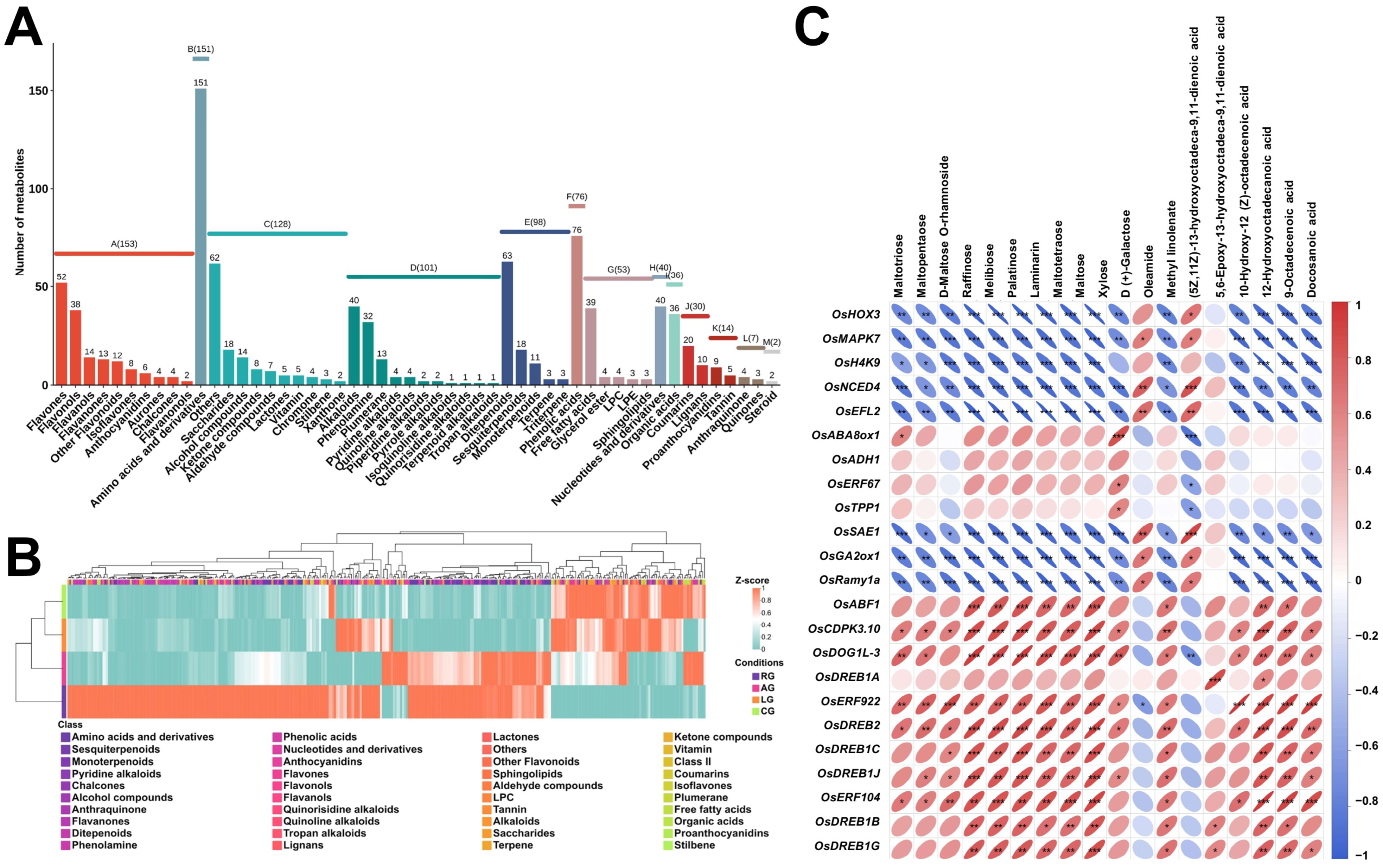 Plants 14 03120 g004