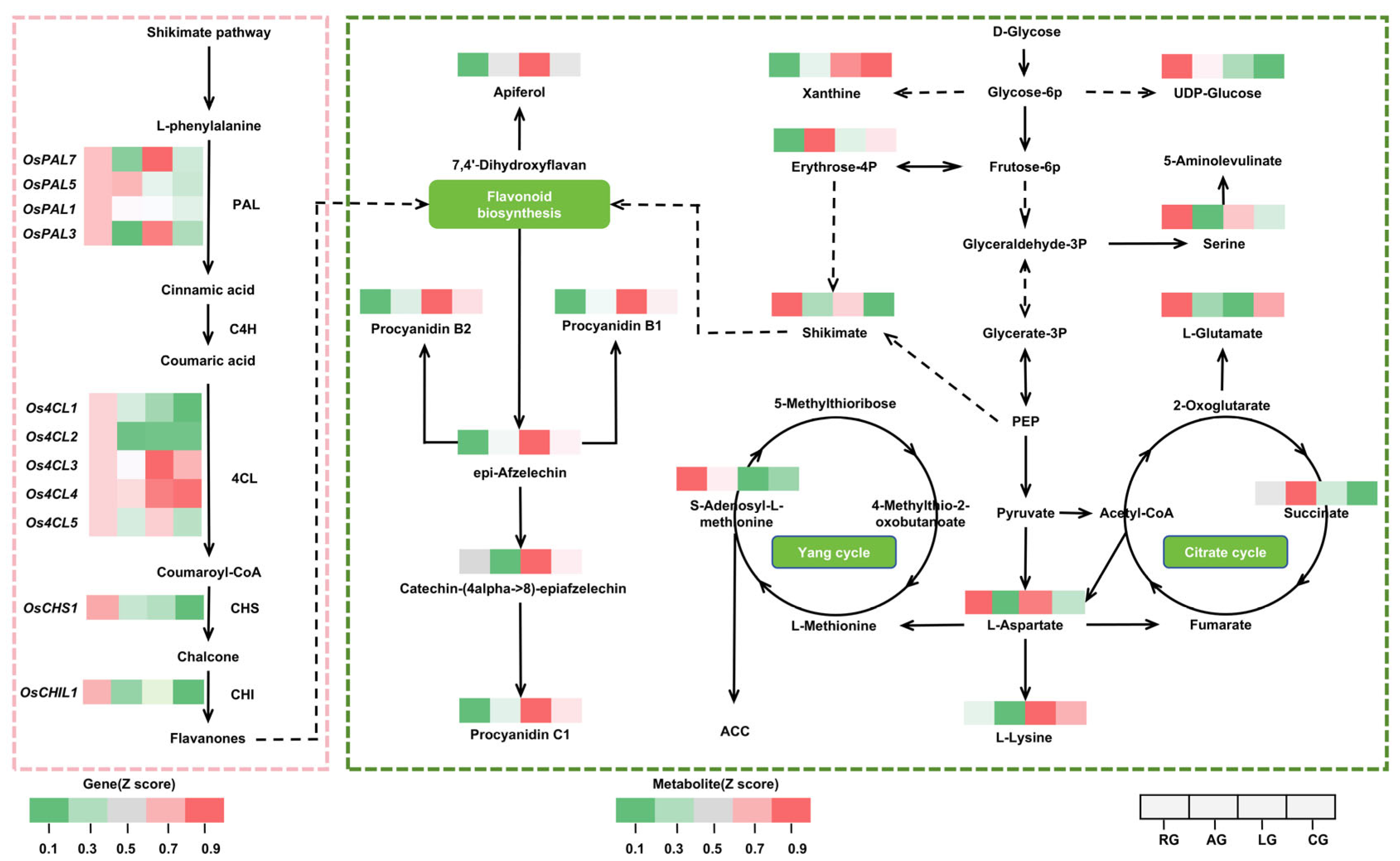 Plants 14 03120 g005