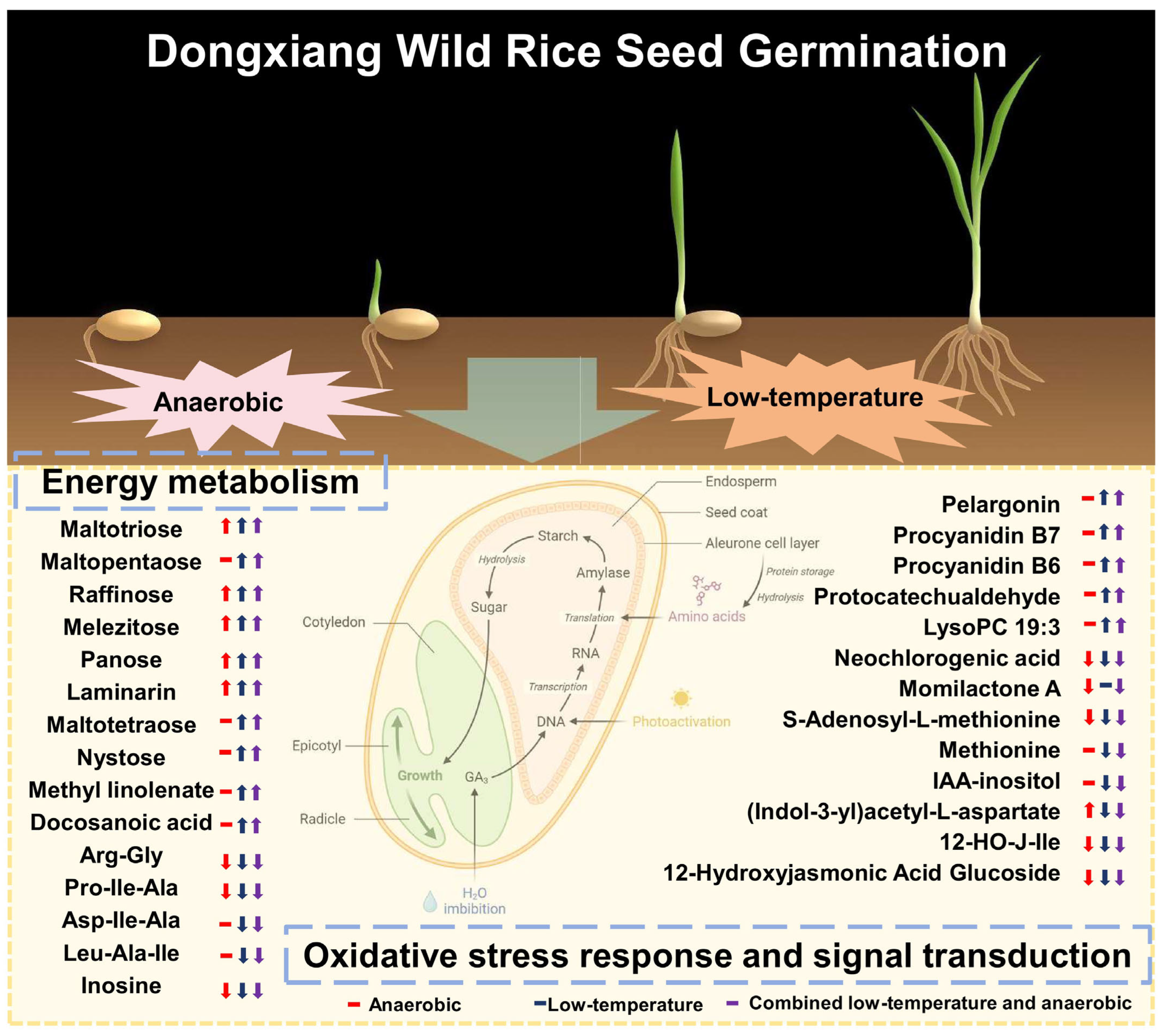 Plants 14 03120 g006