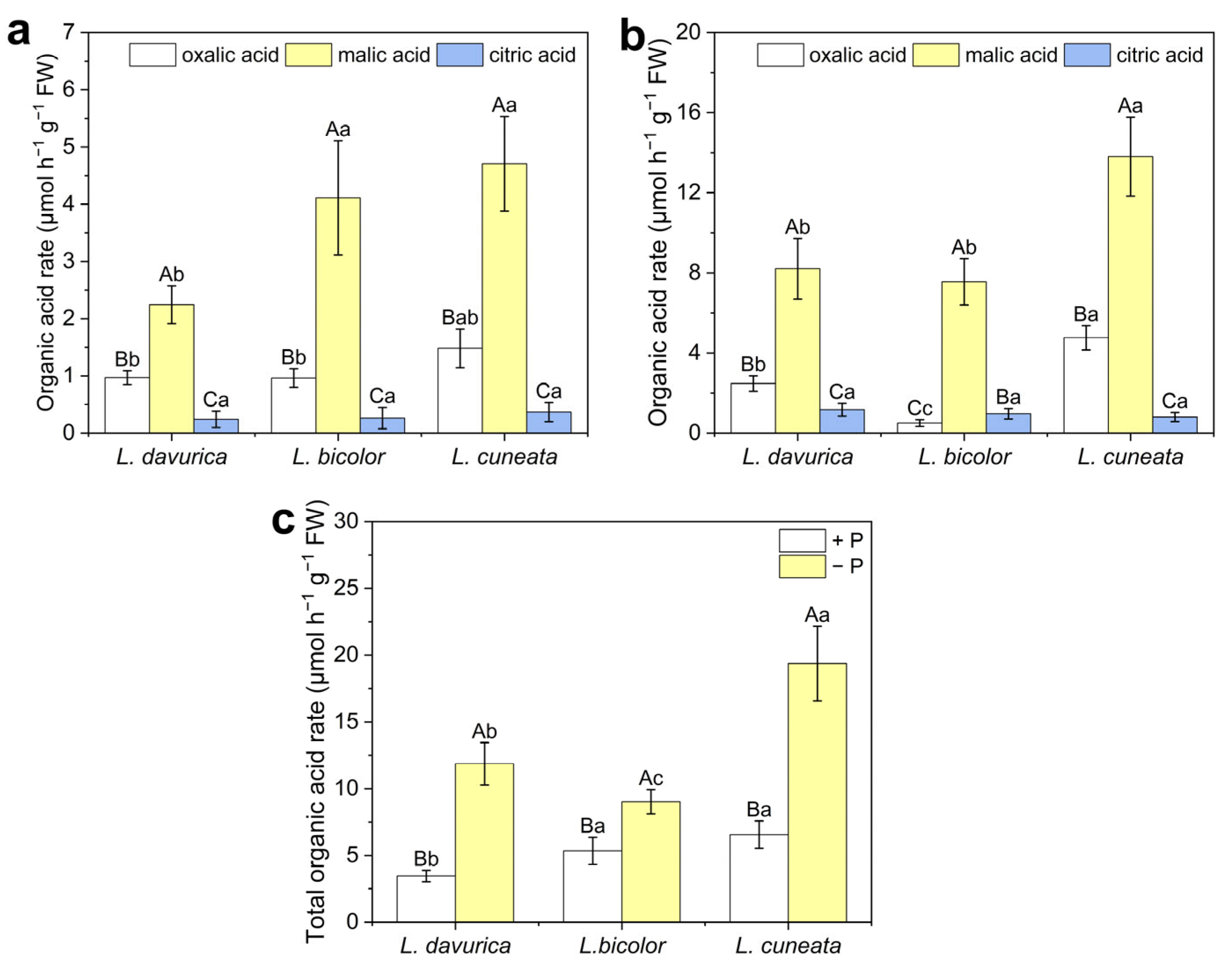 Plants 14 03124 g007 Plants 14 03124 g007
