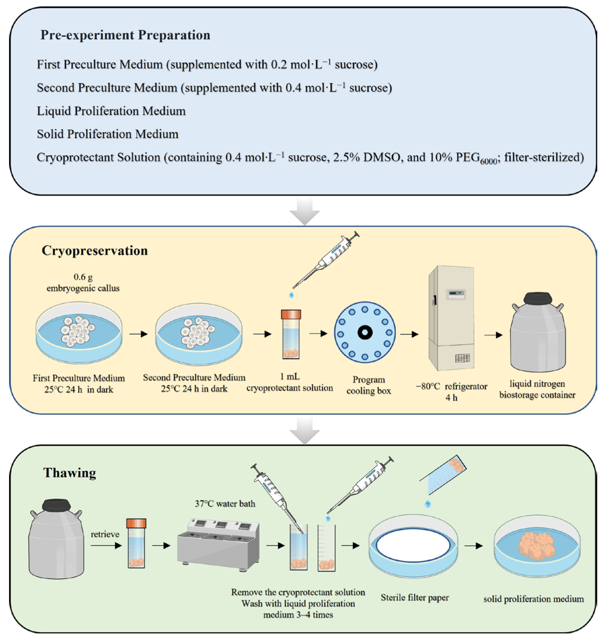 Plants 14 03127 g006