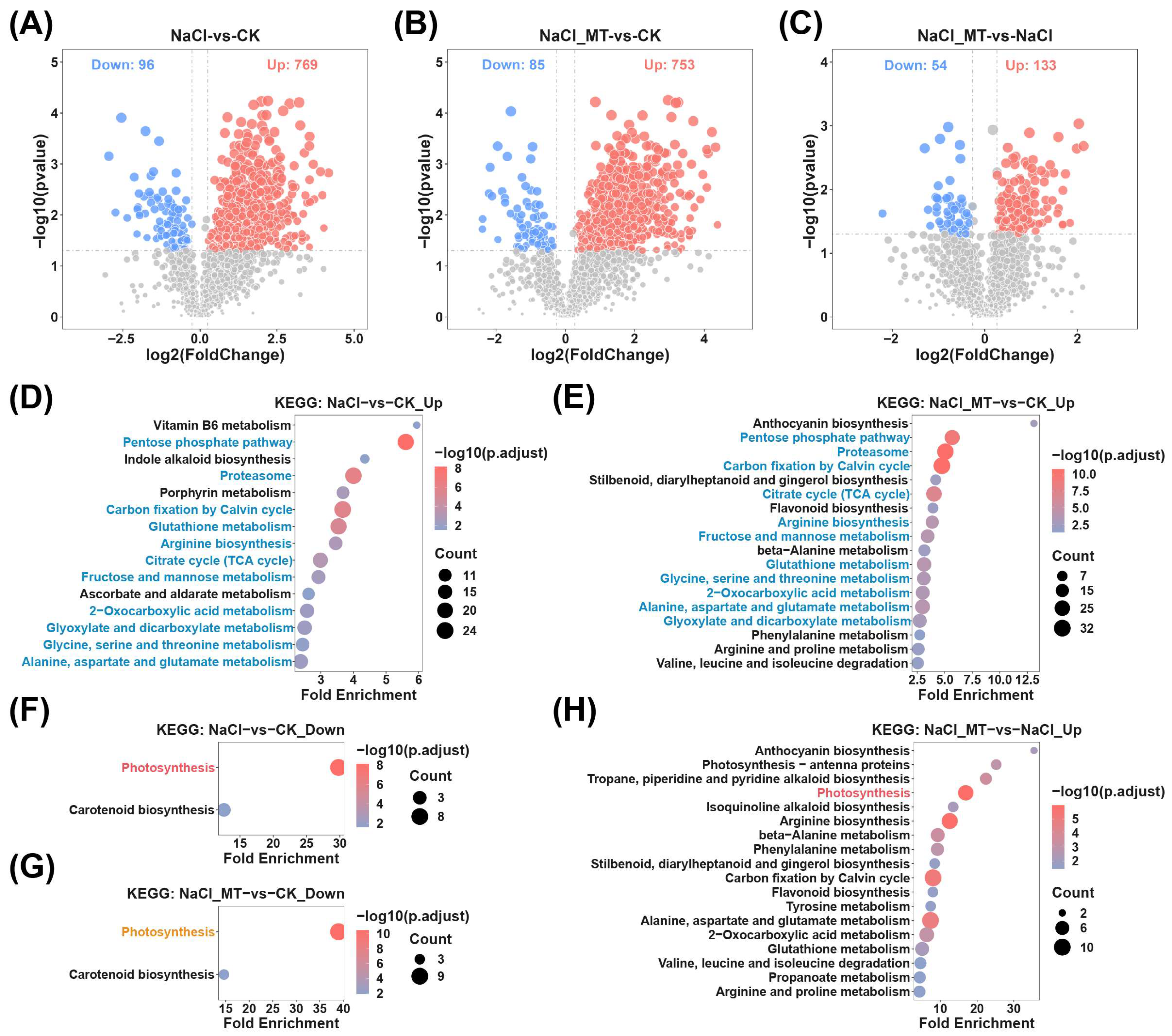 Plants 14 03129 g004