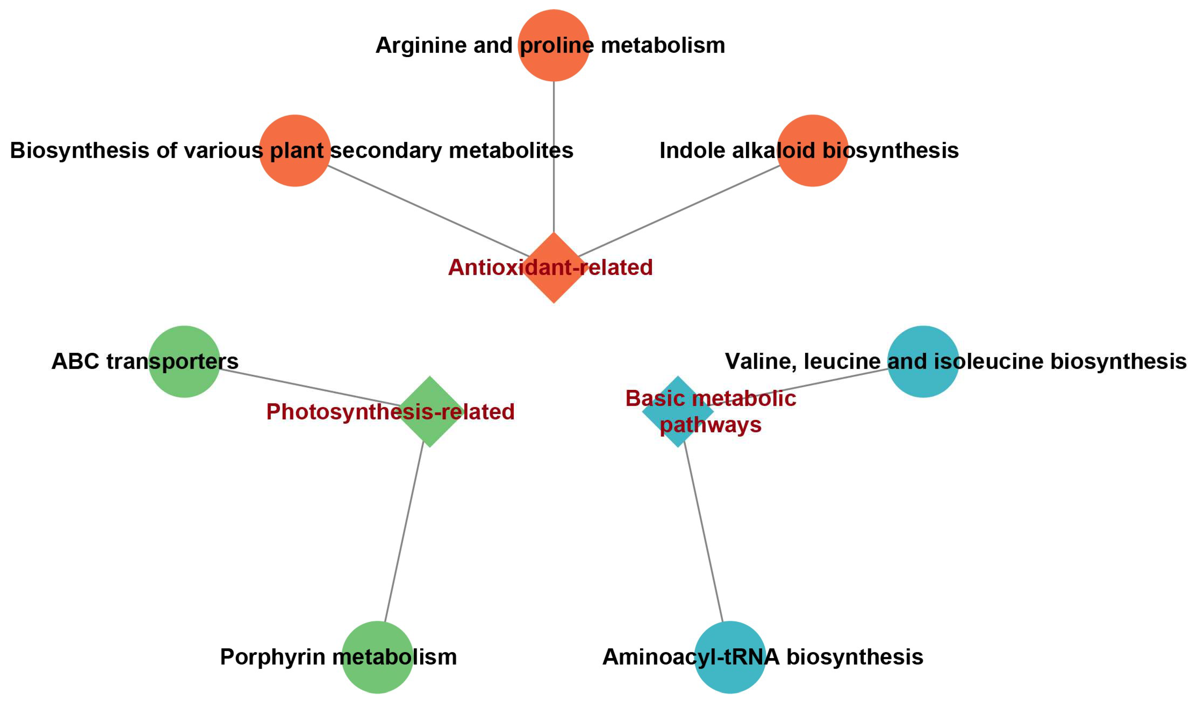 Plants 14 03129 g005