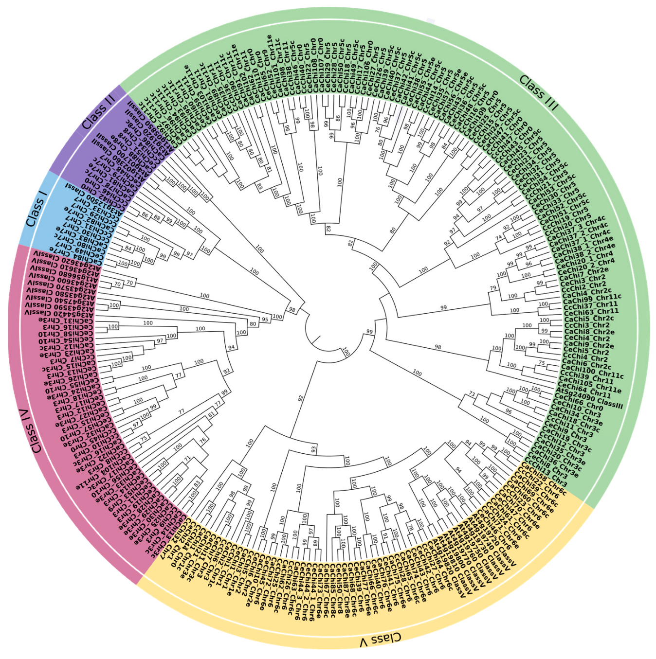 Plants 14 03130 g001