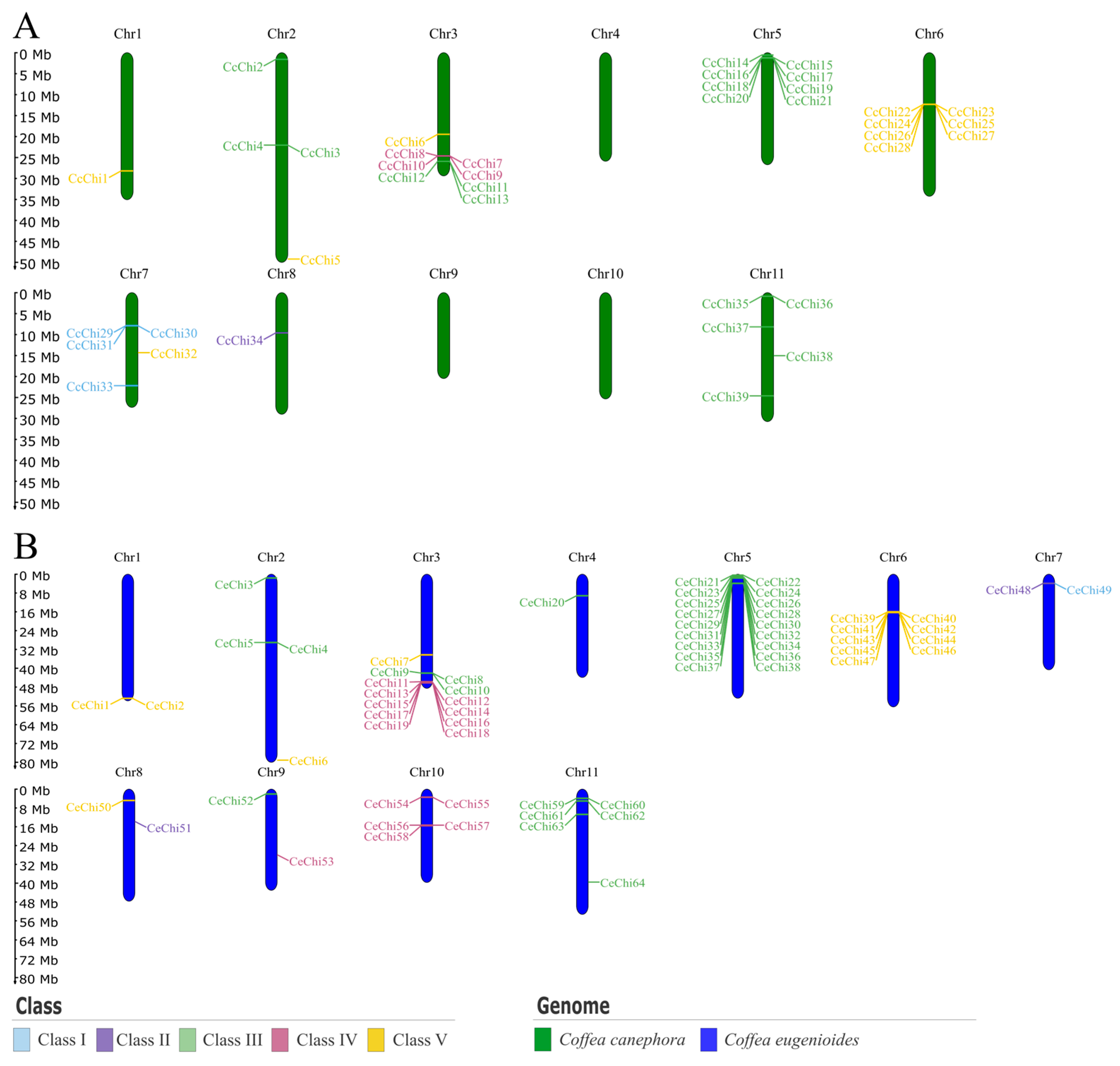 Plants 14 03130 g003